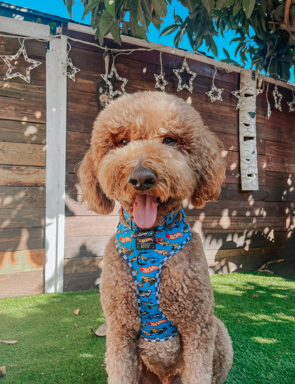 Dog Collar - Hot Wheels™