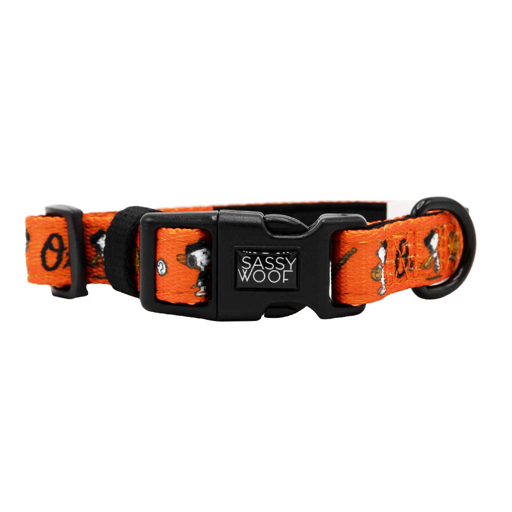 Dog Collar - MLB™ x Peanuts™ Baltimore Orioles™