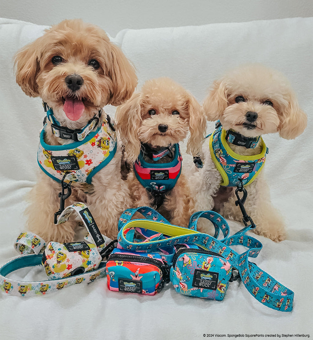 Dog Adjustable Harness - SpongeBob SquarePants™ and Friends