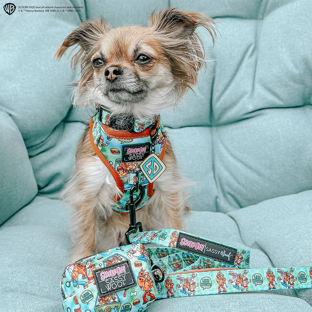 Collar Tag - Scooby-Doo™