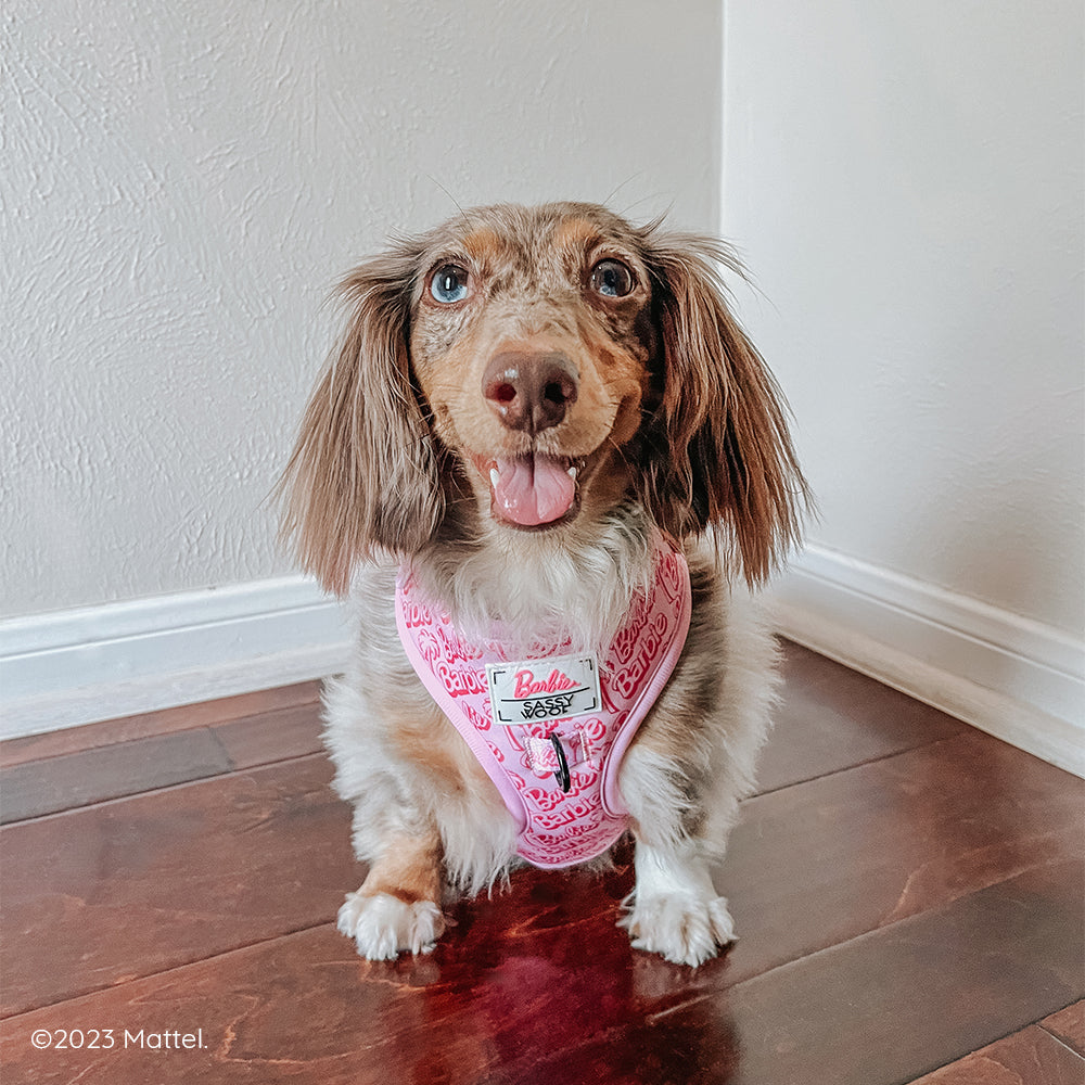 Dog Adjustable Harness - BARBIE™ Malibu