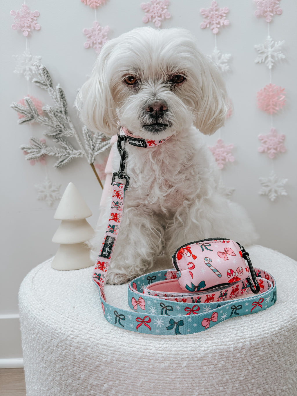 Dog Collar - Candy Cane Coquette