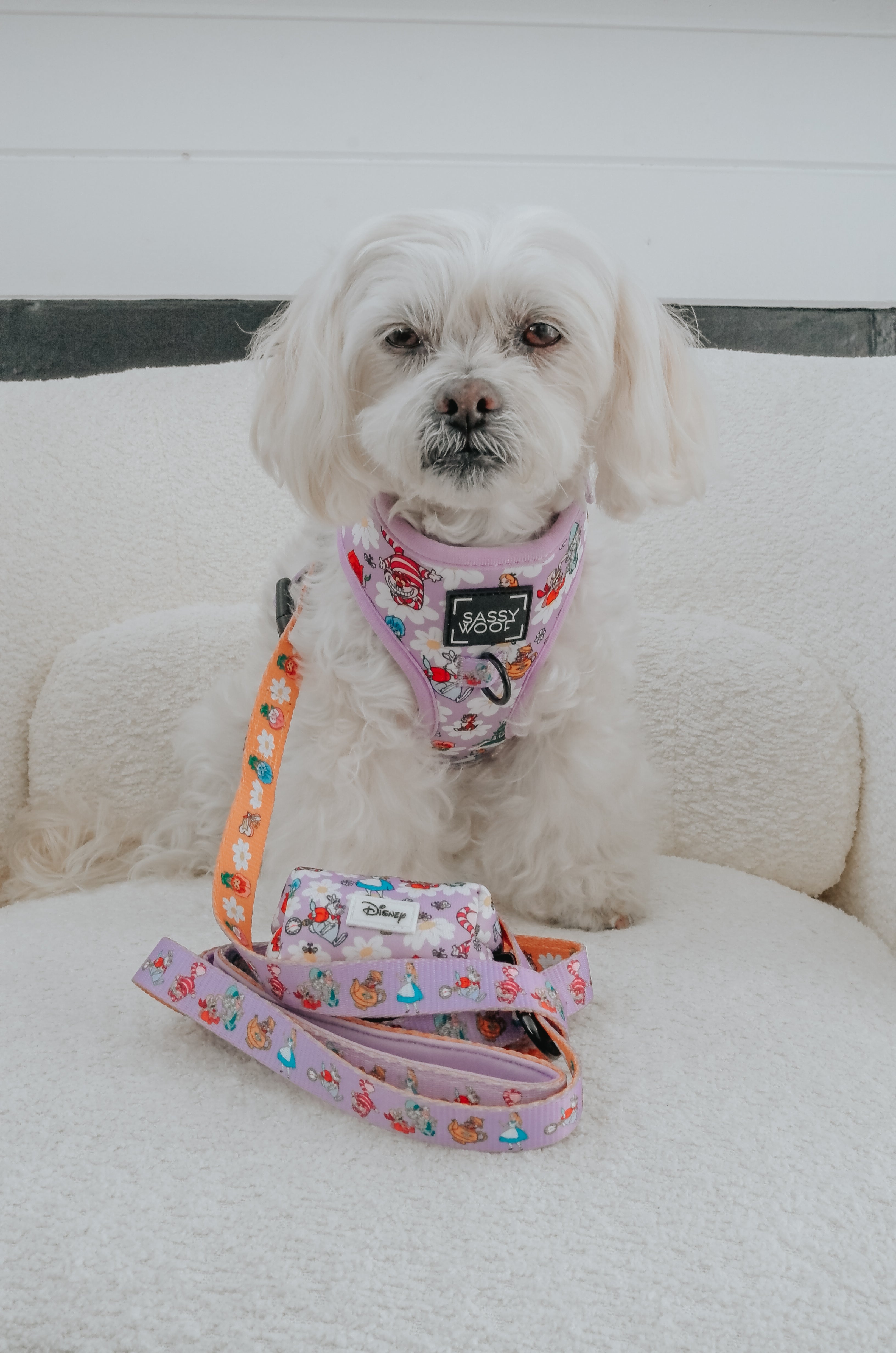 Dog Adjustable Harness - Alice in Wonderland (Purple)