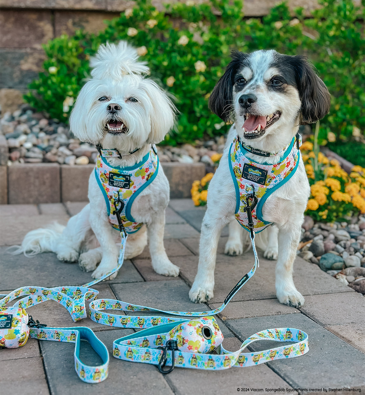 Dog Leash - SpongeBob SquarePants™ Bikini Bottom