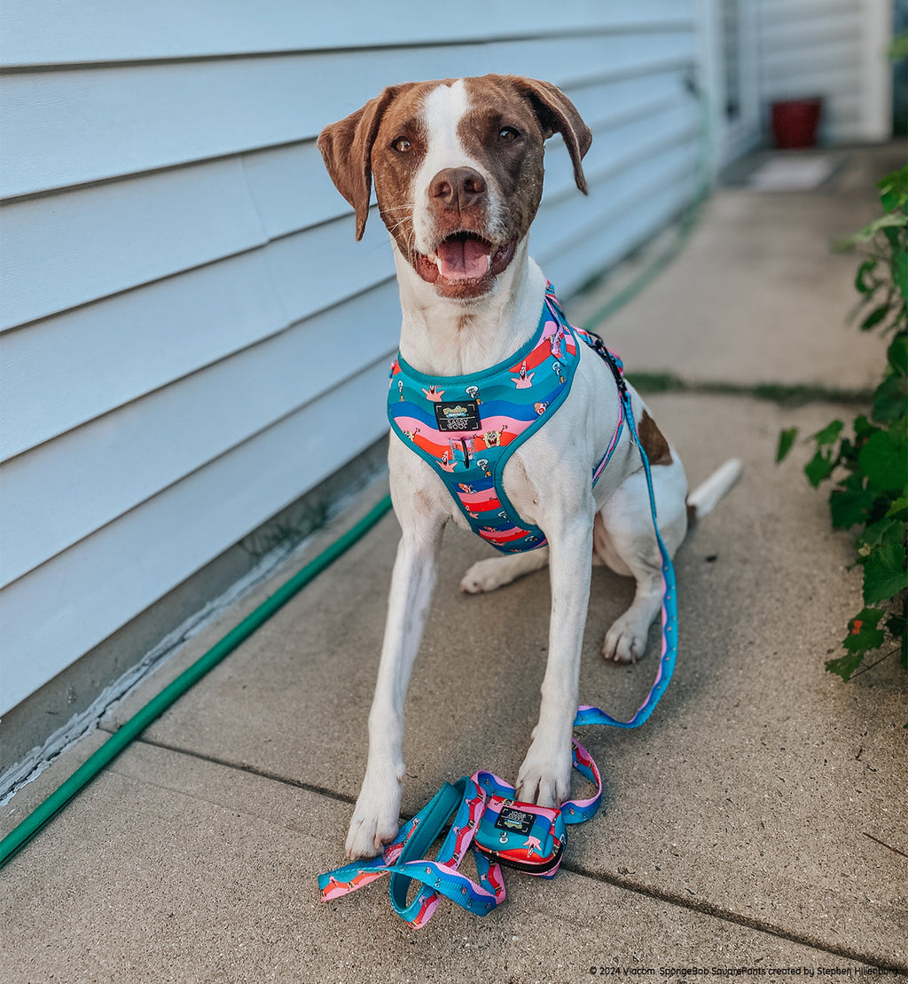 Dog Adjustable Harness - SpongeBob SquarePants™ and Friends