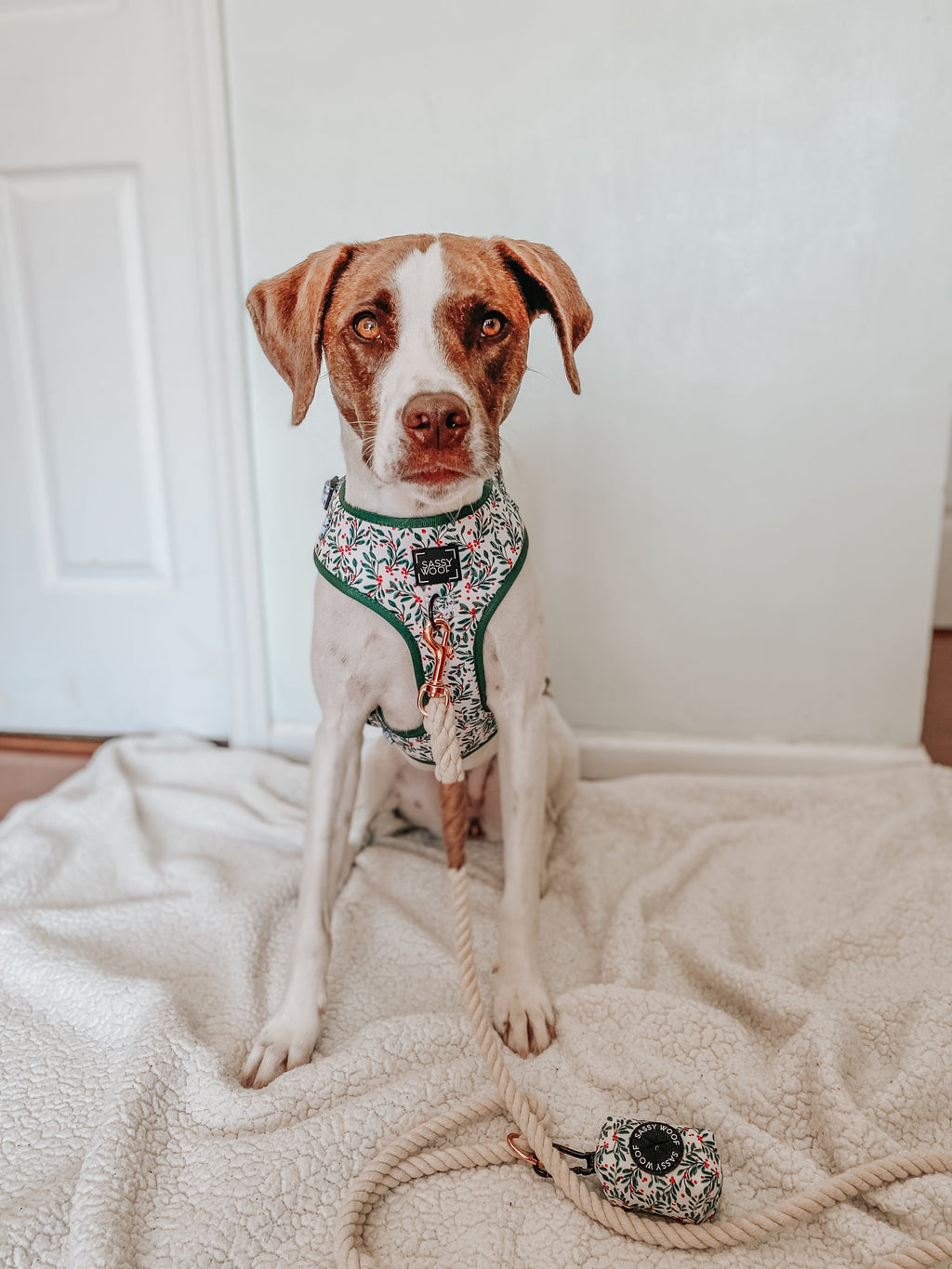 Dog Adjustable Harness - Under the Mistletoe