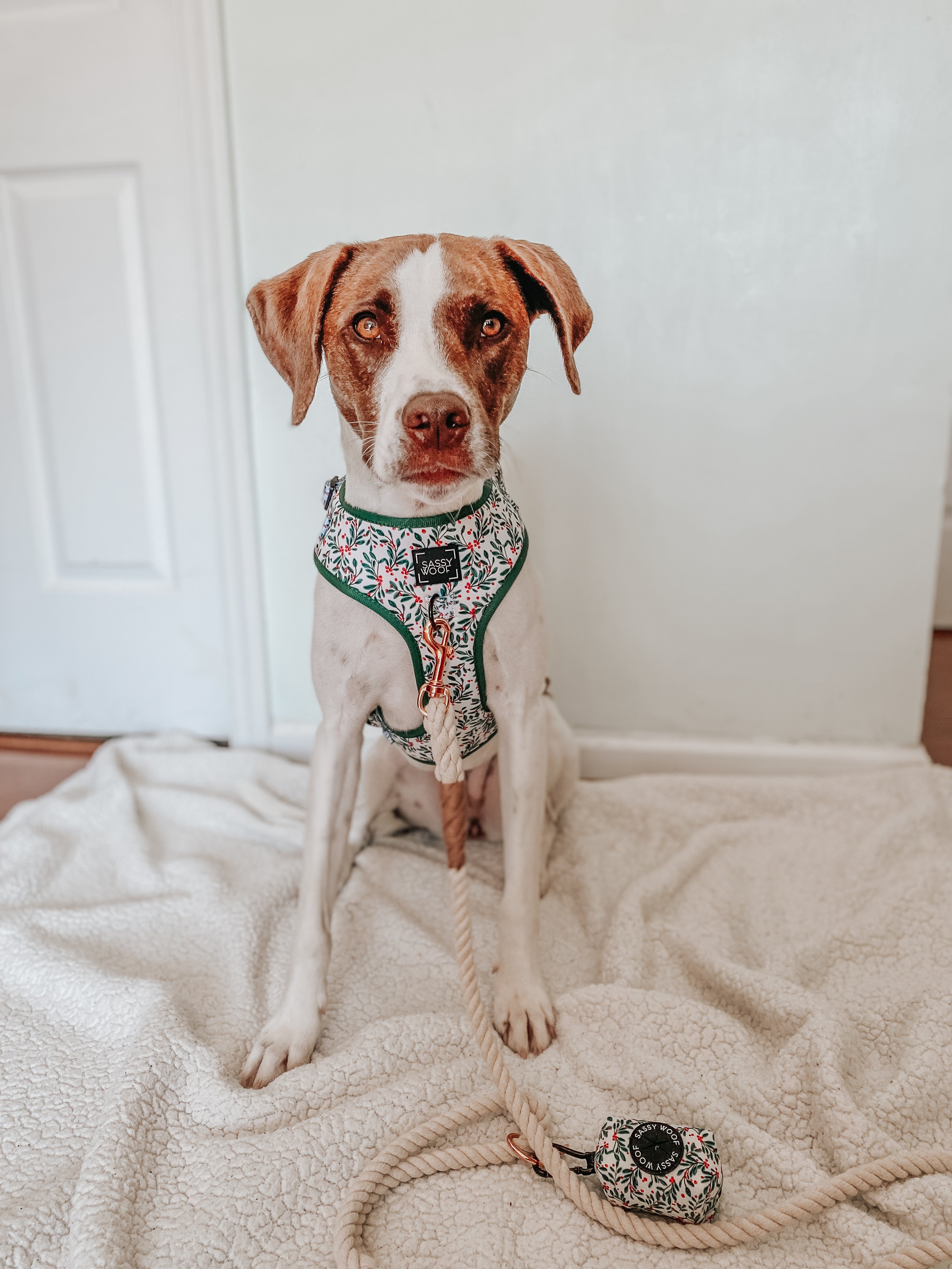 Dog Adjustable Harness - Under the Mistletoe