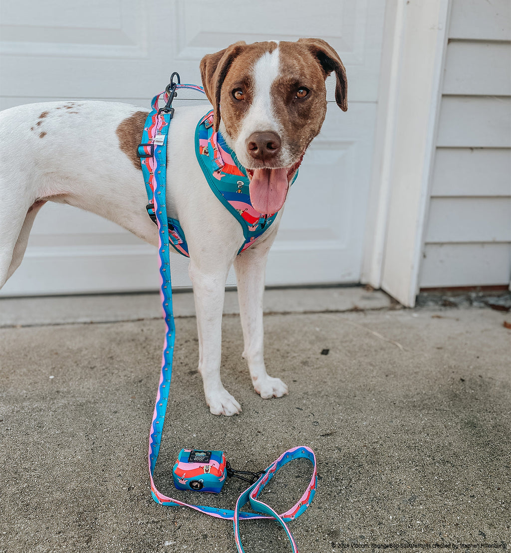 Dog Leash - SpongeBob SquarePants™ and Friends