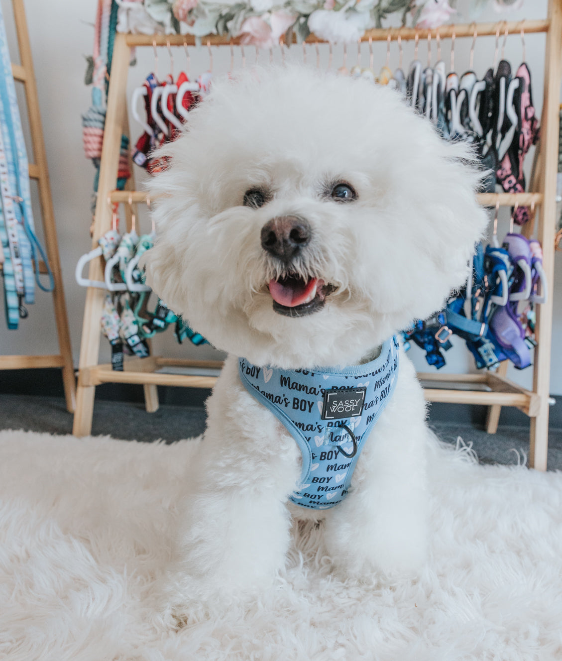 Dog Adjustable Harness - Mama's Boy