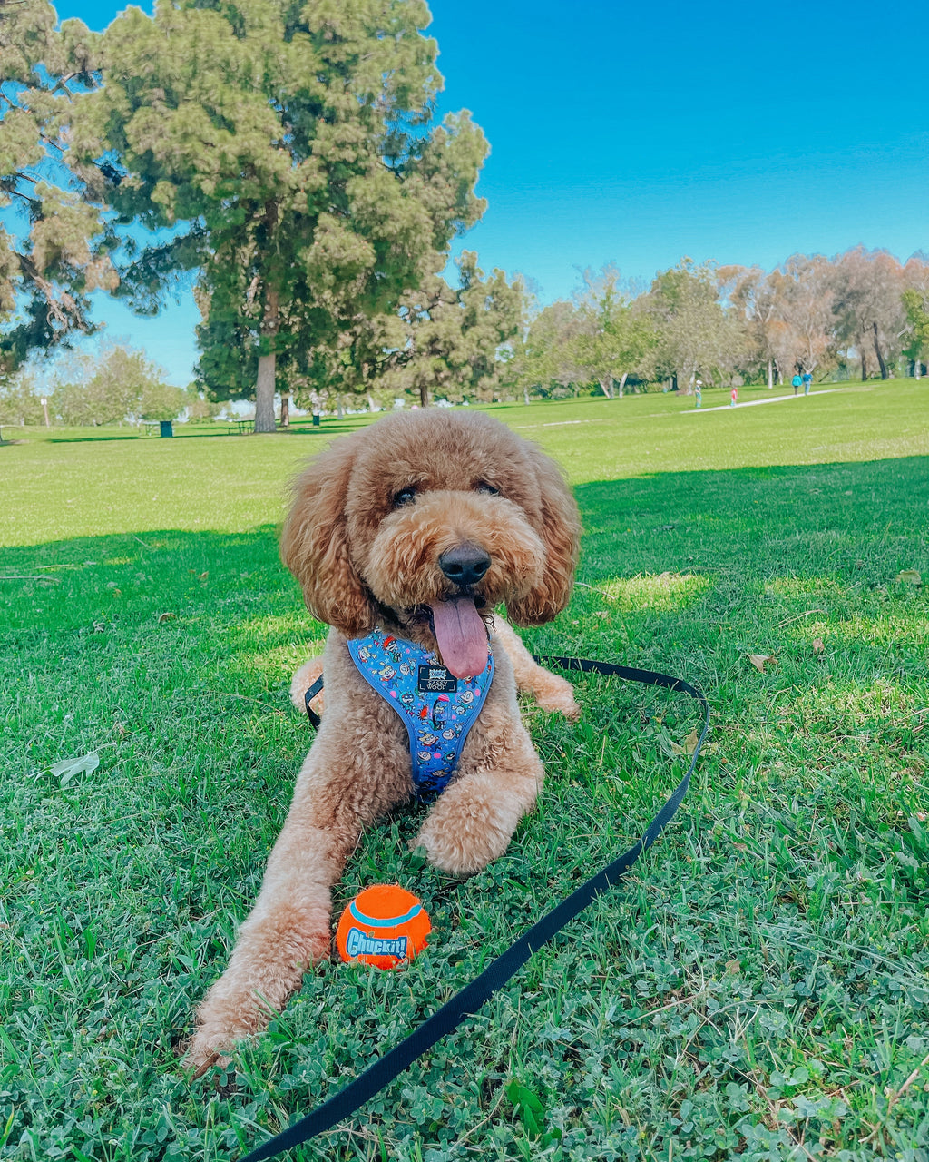 Dog Adjustable Harness - Nickelodeon Rugrats™