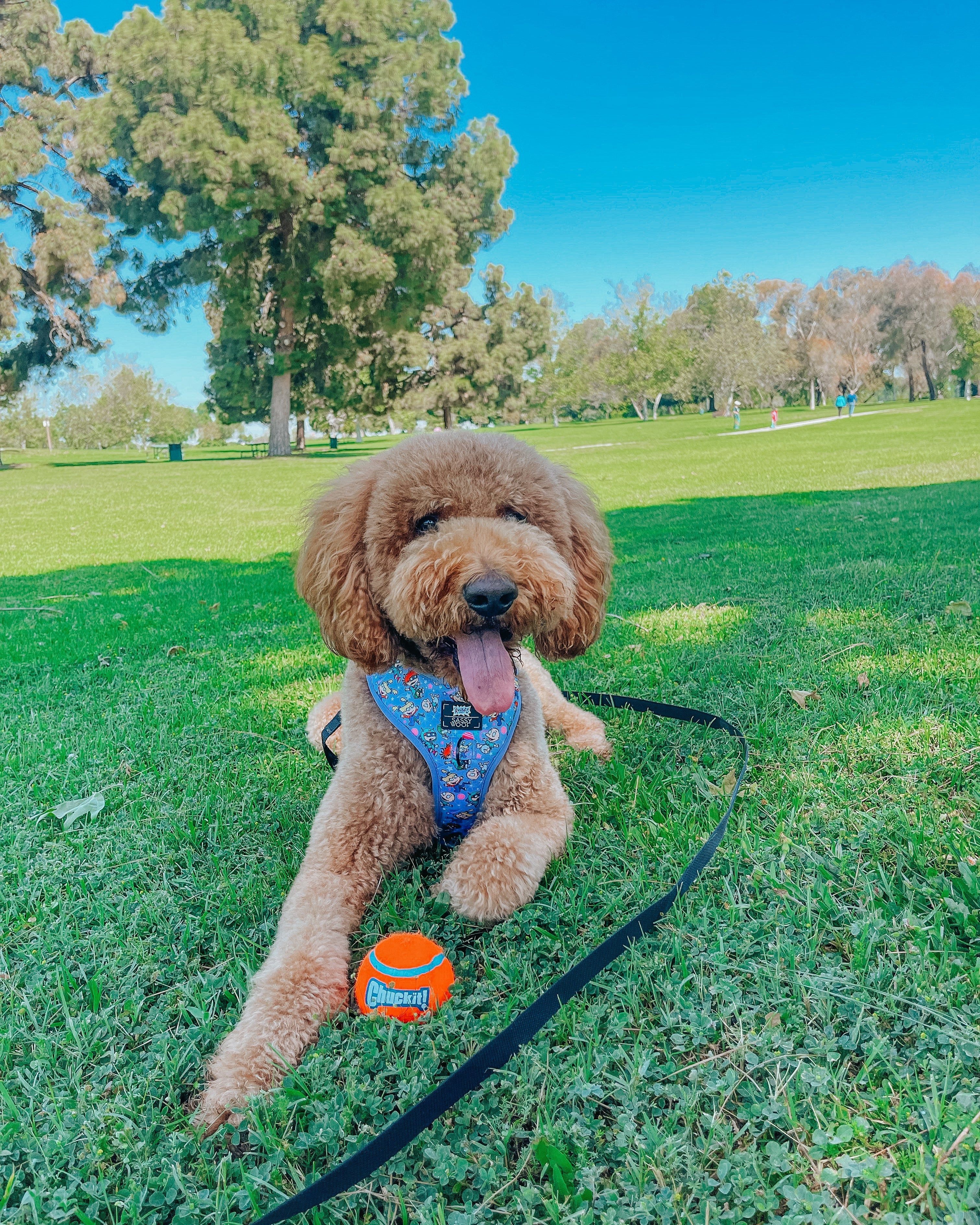 Dog Adjustable Harness - Nickelodeon Rugrats™