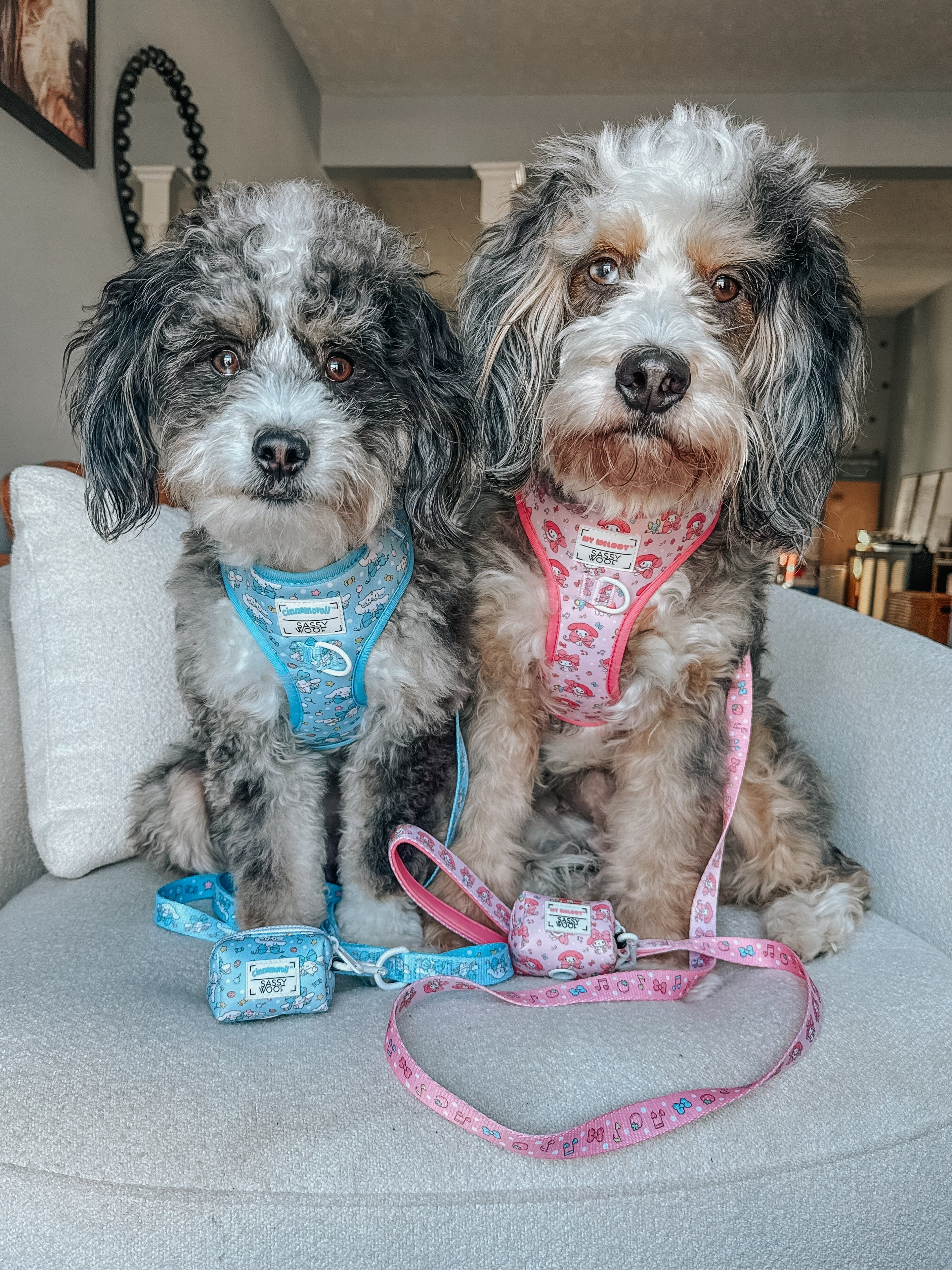 Dog Leash - Cinnamoroll™