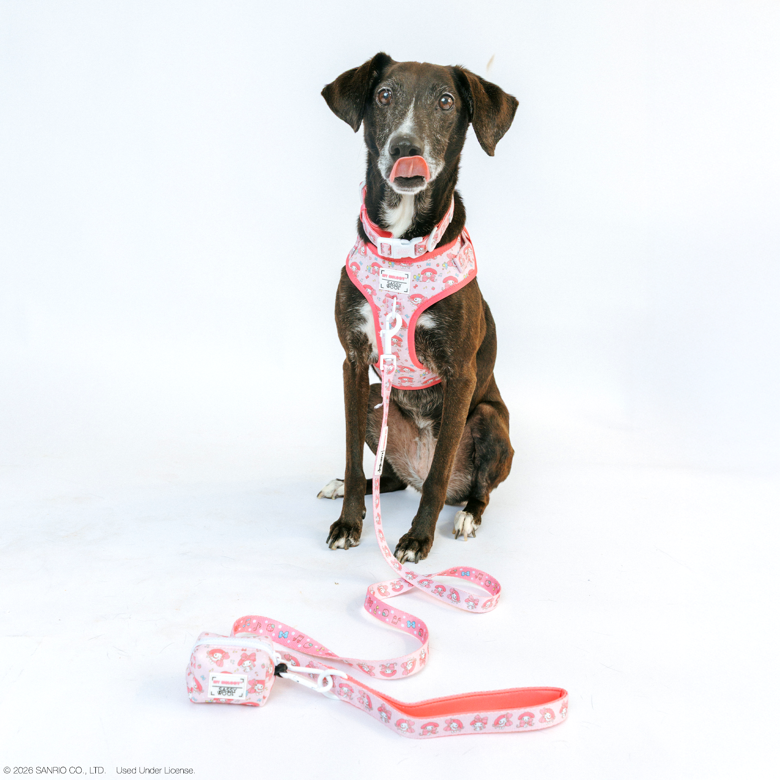 Dog Four Piece Bundle - My Melody™