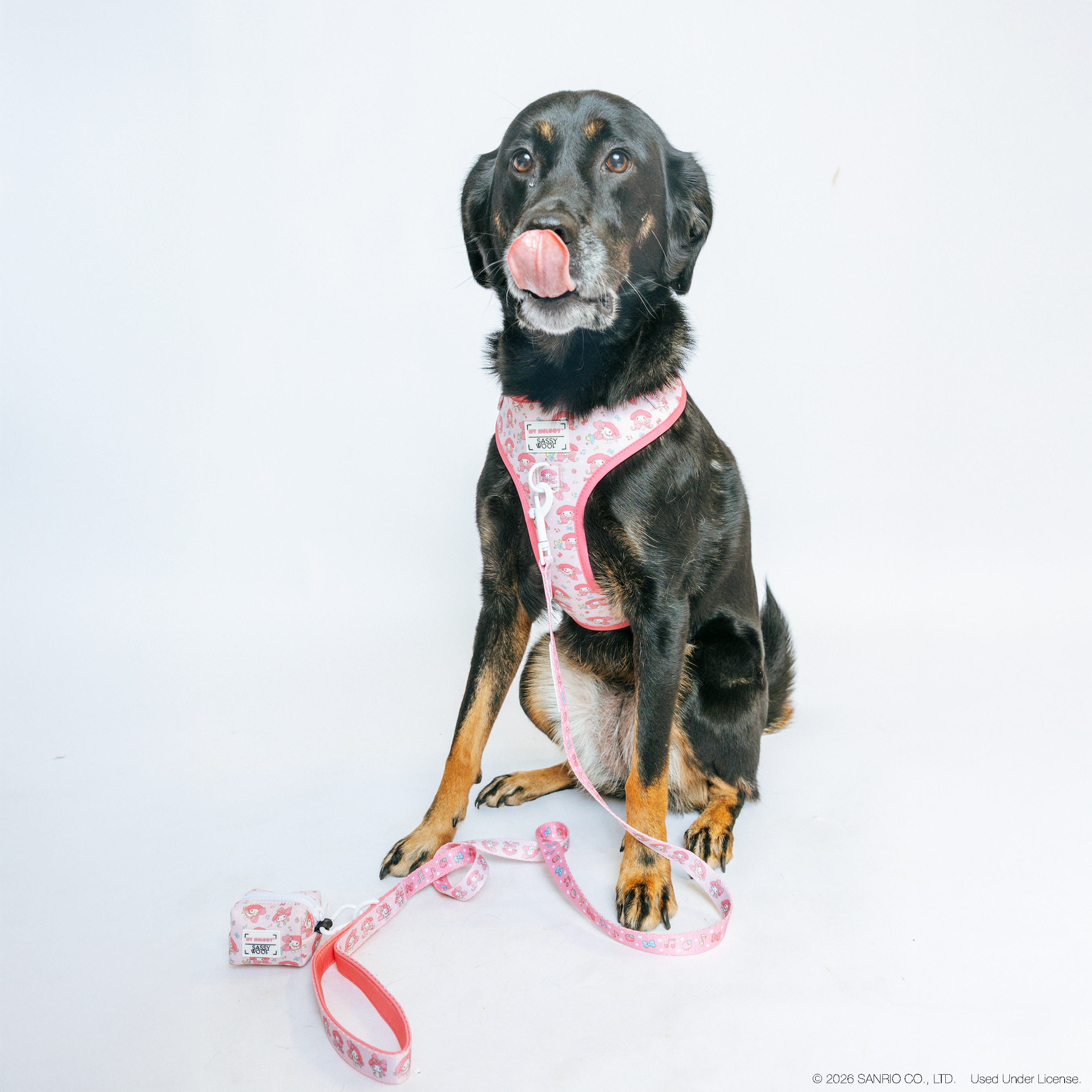 Dog Adjustable Harness - My Melody™