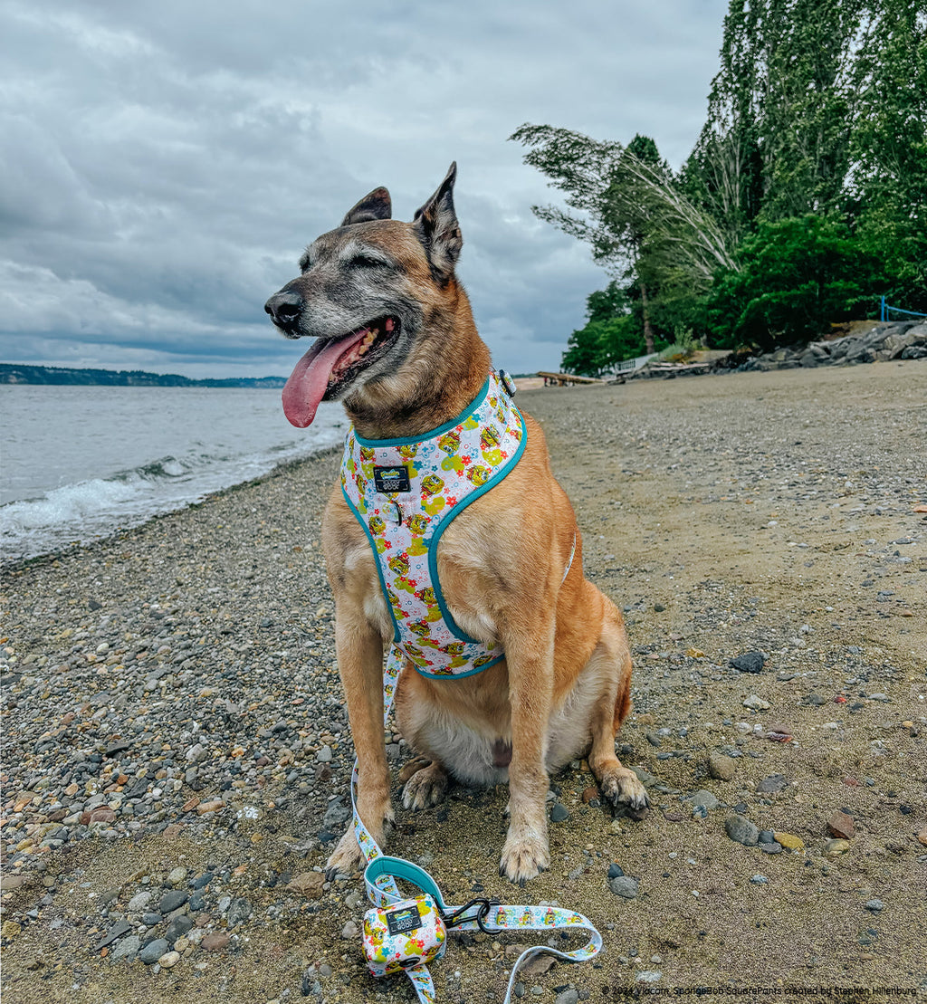 Dog Adjustable Harness - SpongeBob SquarePants™ Bikini Bottom