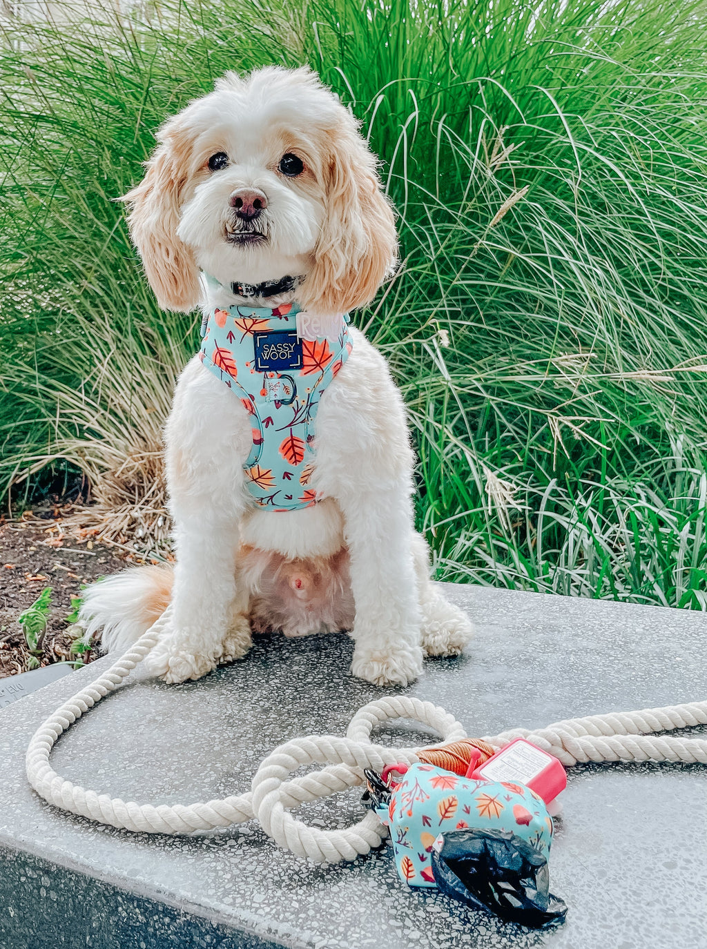 Dog Rope Leash - Natural