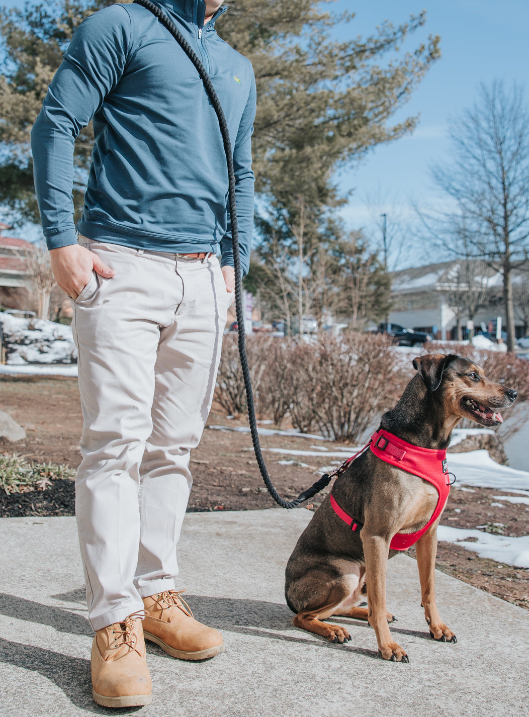 Hands Free Rope Leash - Noir
