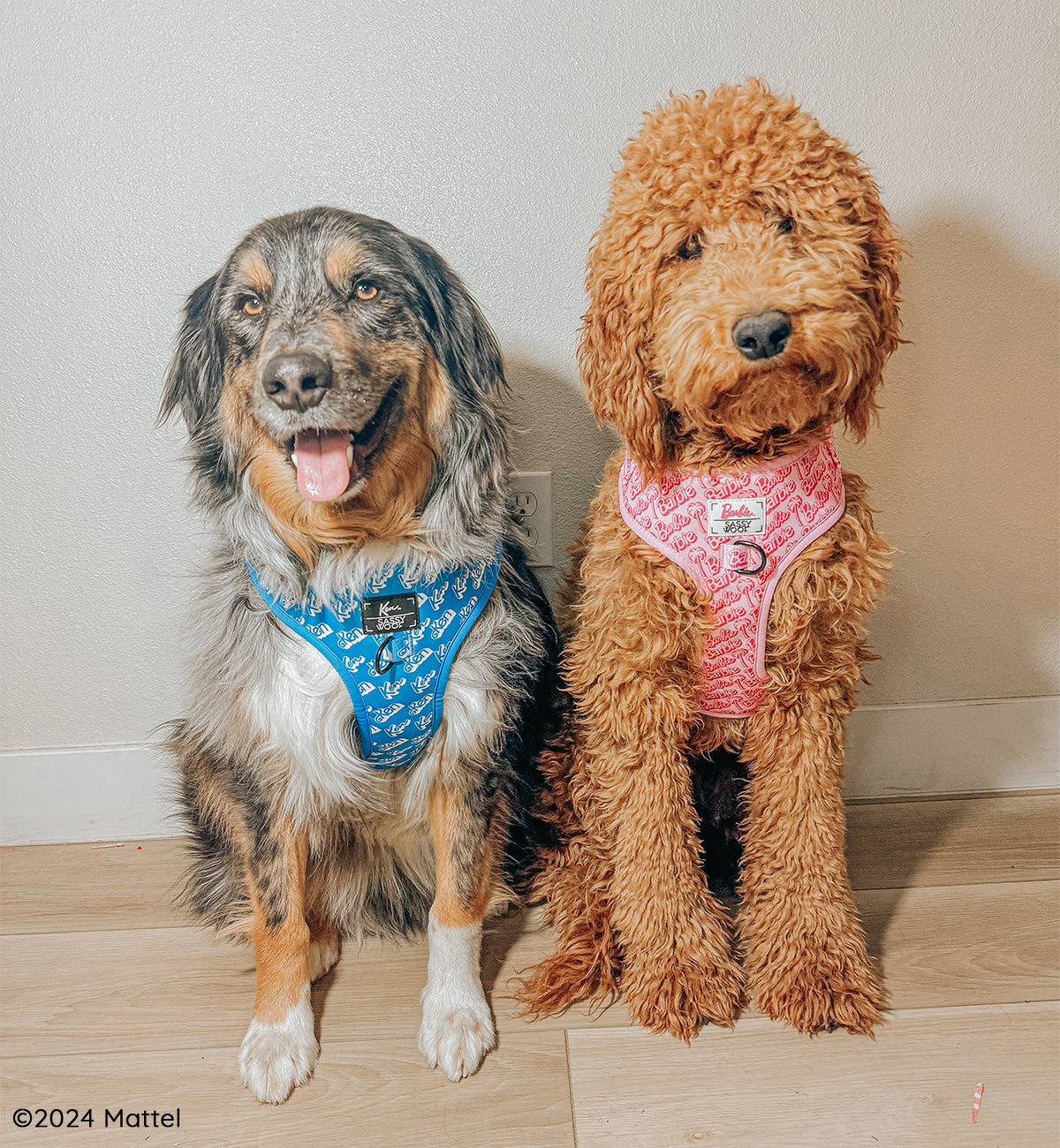 Dog Adjustable Harness - KEN™
