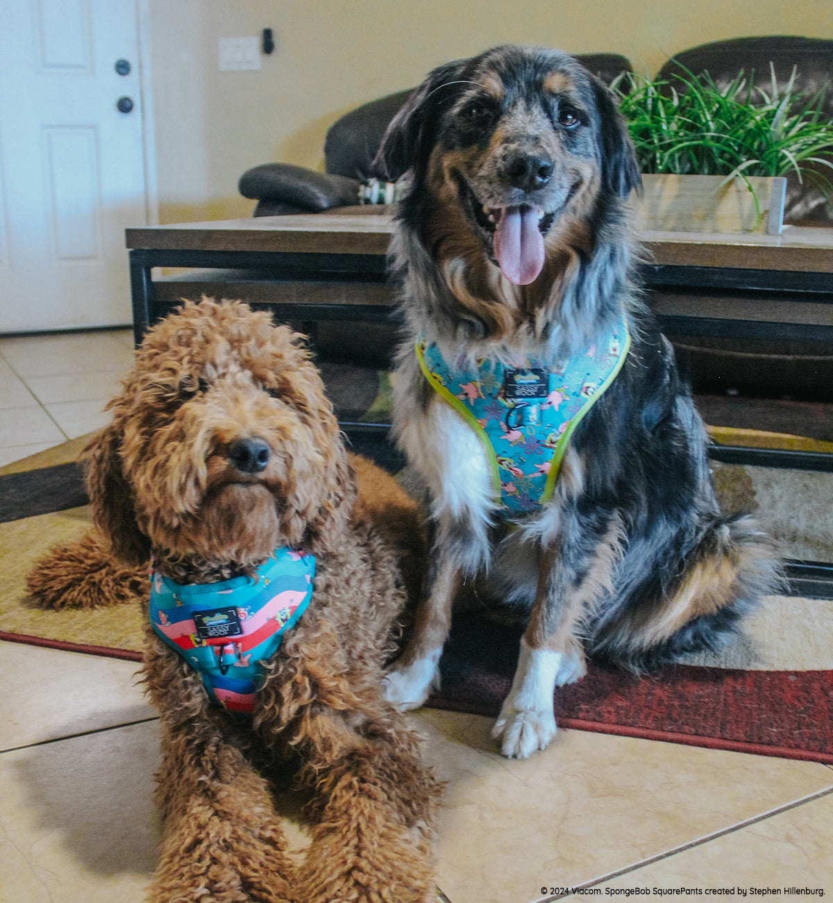 Dog Adjustable Harness - SpongeBob SquarePants™ Jelly Fishin'