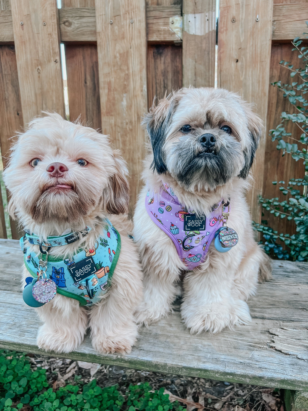Dog Adjustable Harness - Tea Pawty