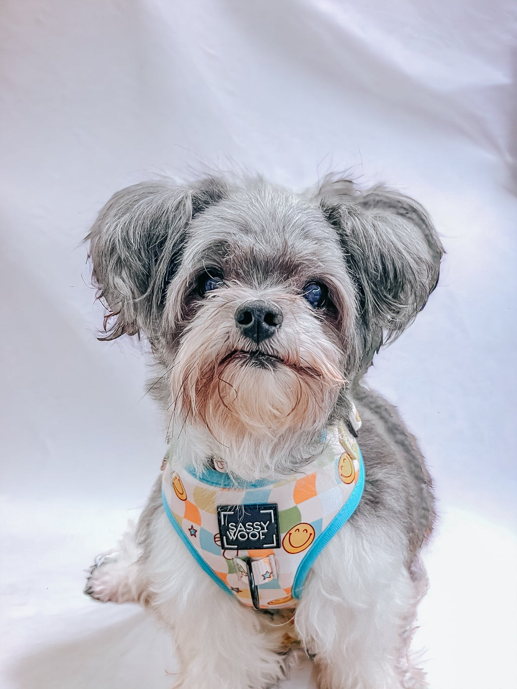 Dog Adjustable Harness - Mush Love