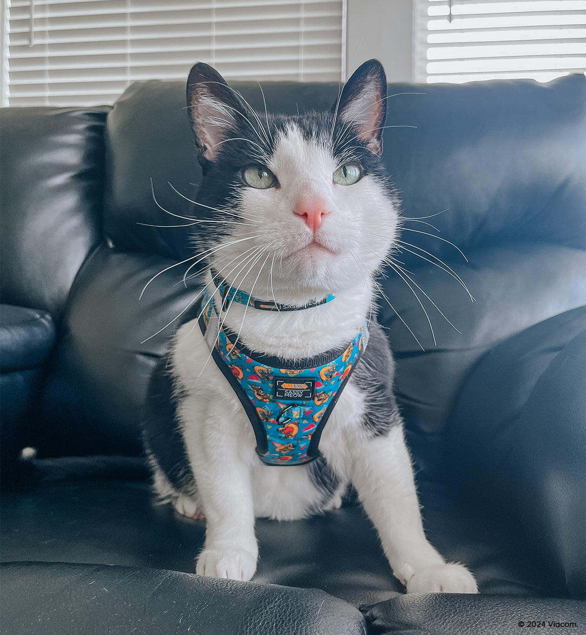 Cat Collar - Nickelodeon CatDog™
