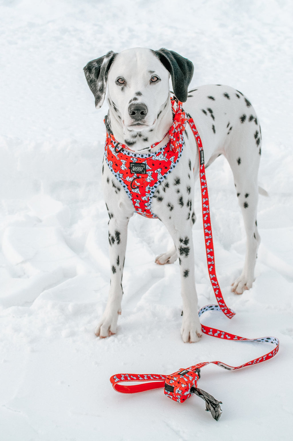 Dog Adjustable Harness - Disney's 101 Dalmatians