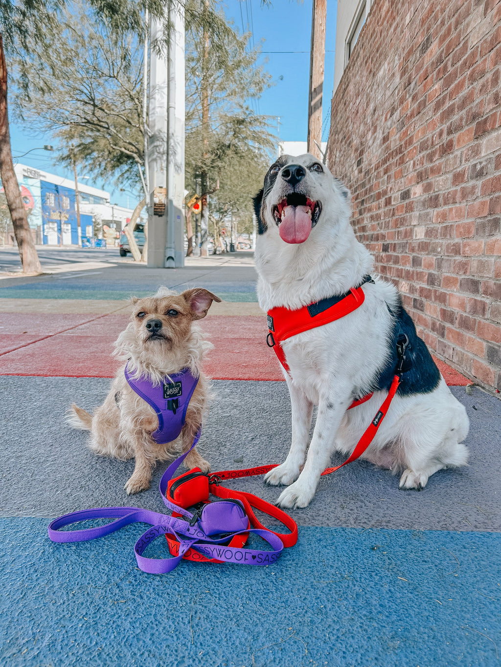 Dog Adjustable Harness - Neon Red