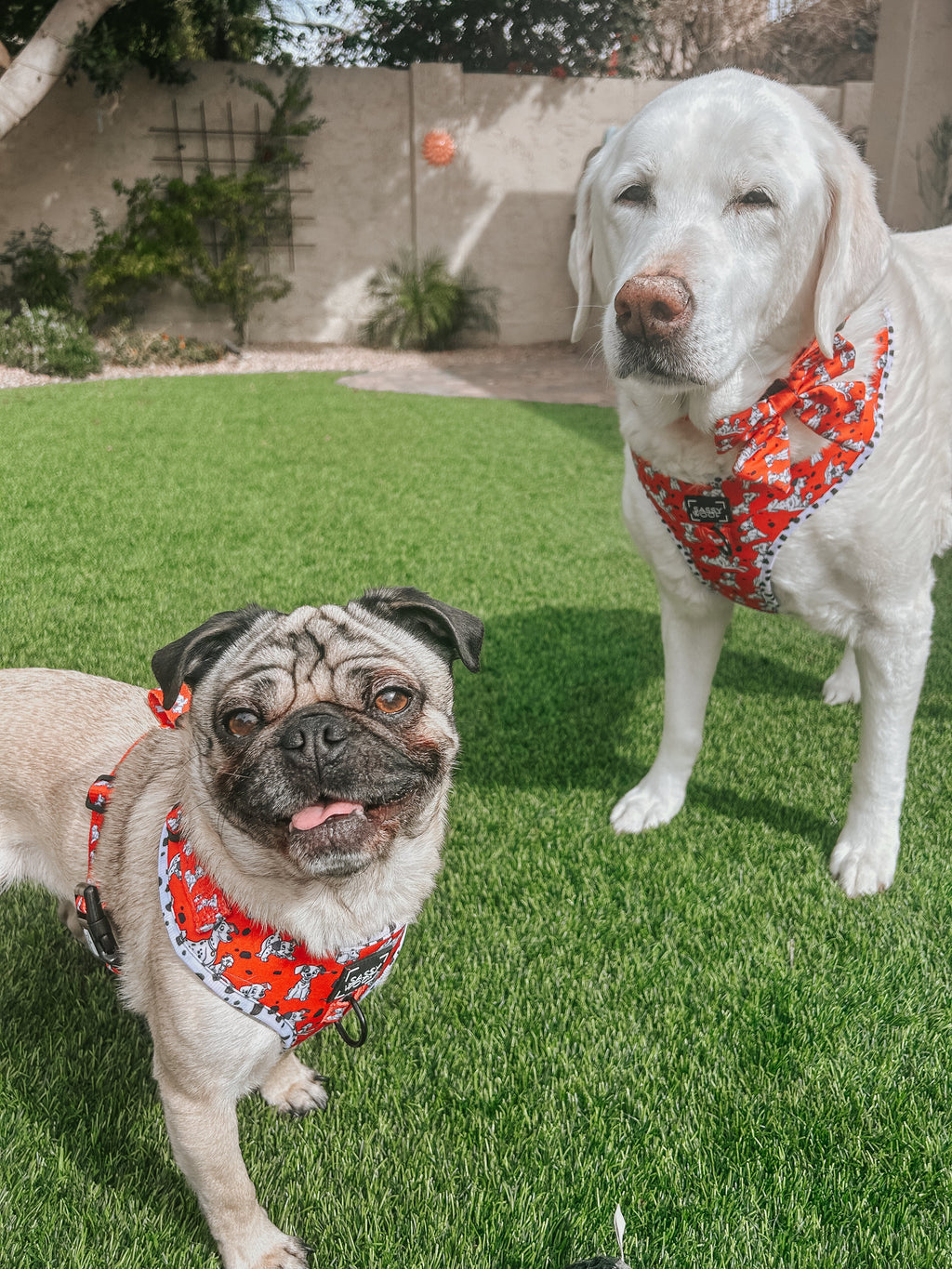 Dog Adjustable Harness - Disney's 101 Dalmatians