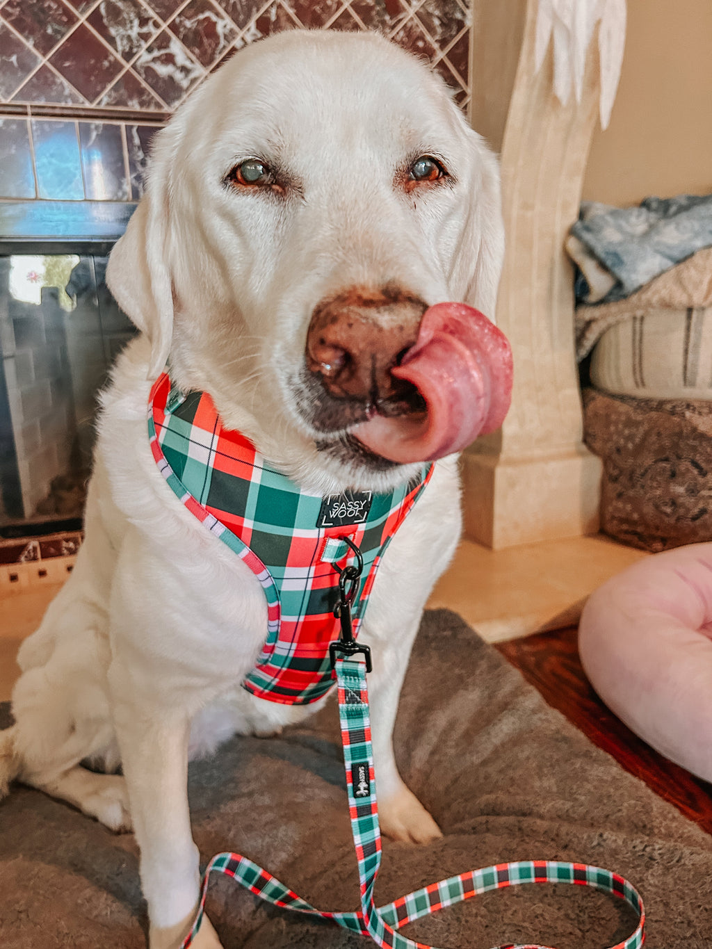 Dog Adjustable Harness - Jingle Barks