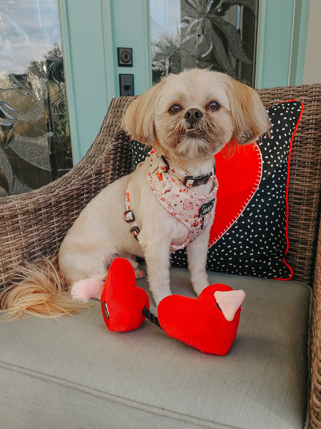 Dog Adjustable Harness - P.S. I Woof You