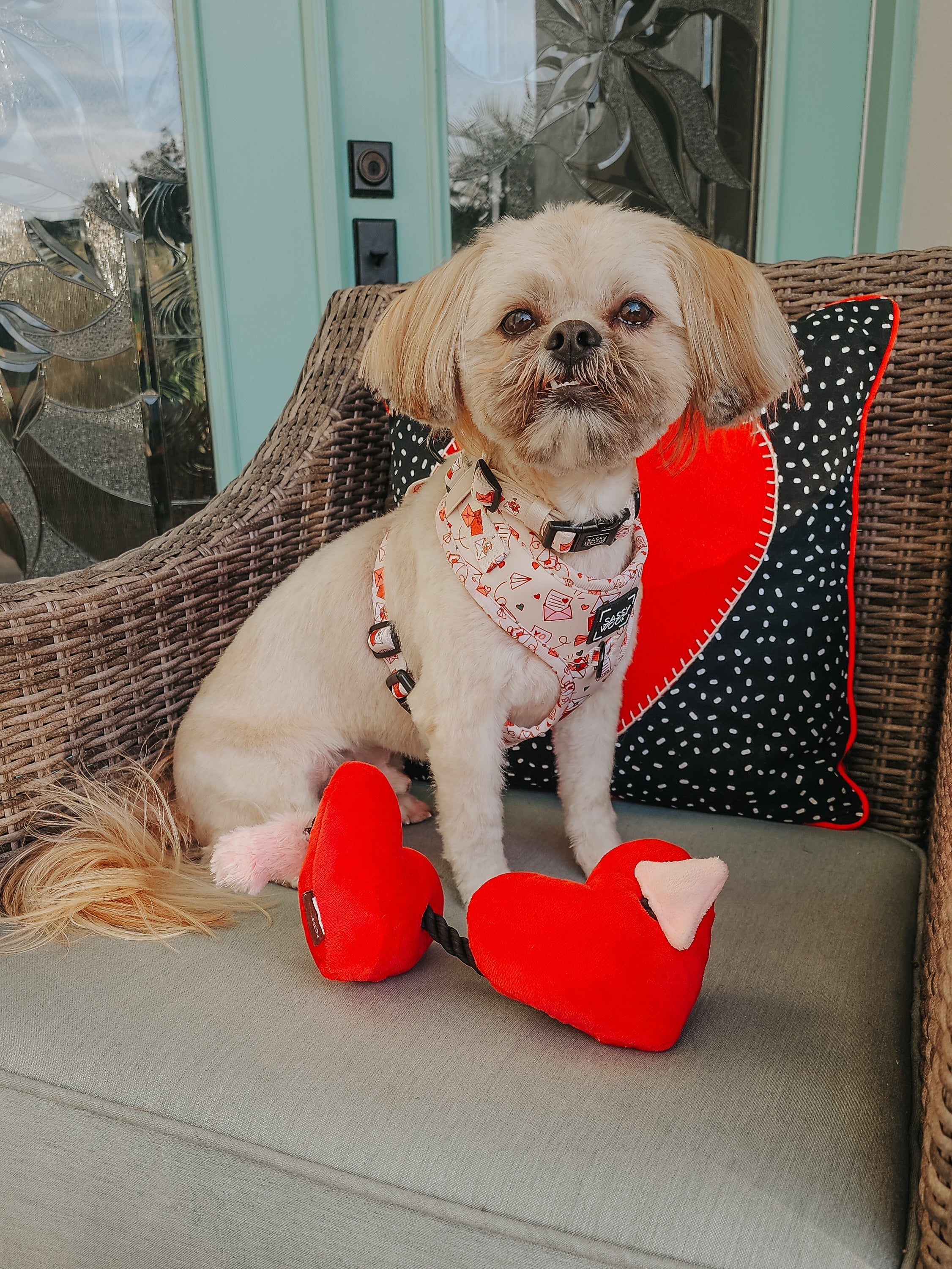 Dog Adjustable Harness - P.S. I Woof You