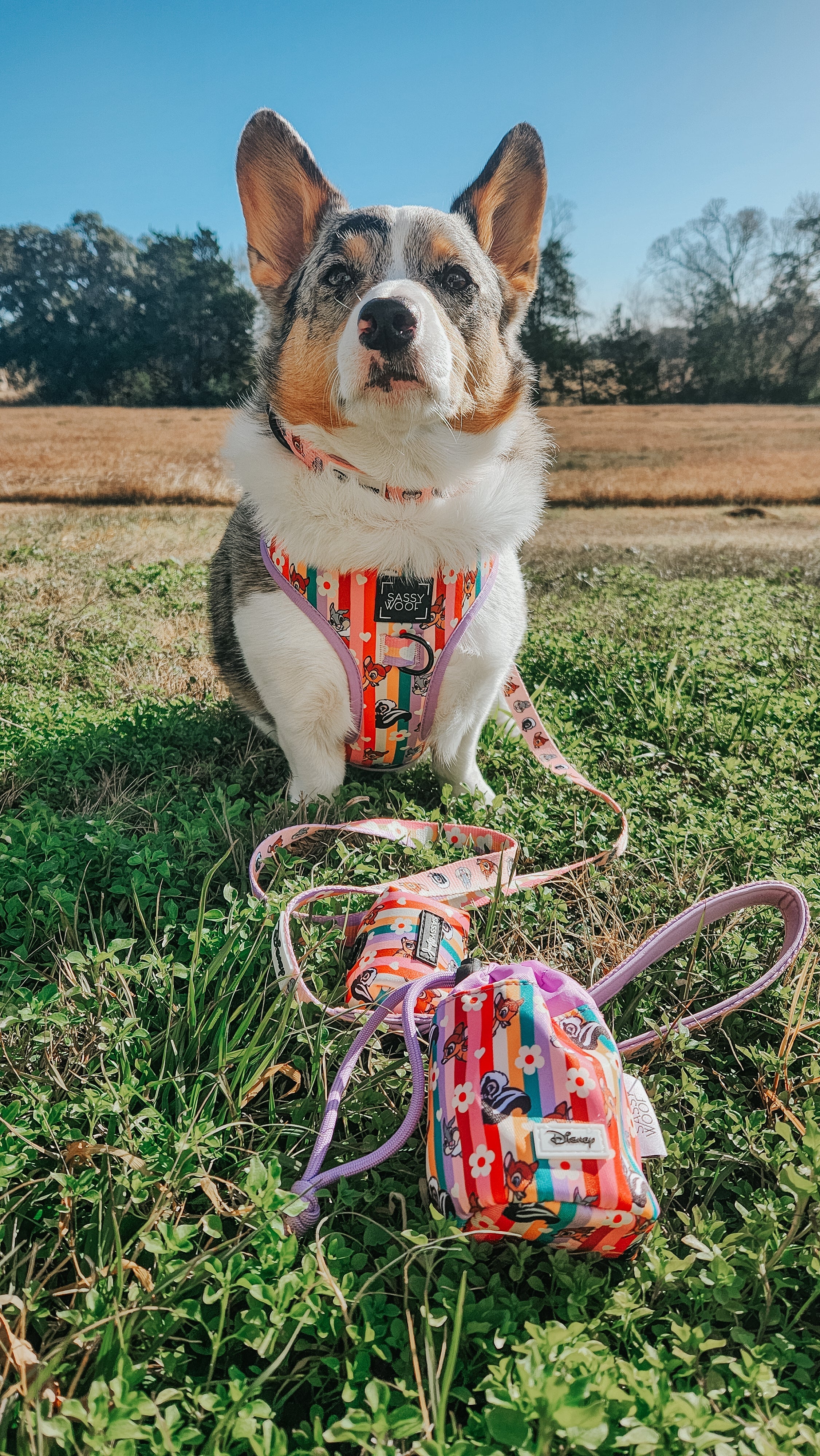 Dog Adjustable Harness - Disney's Bambi