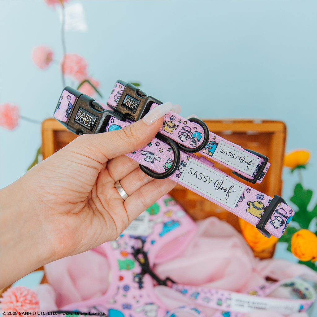 Dog Collar - Hello Kitty® & Friends Flower Festival