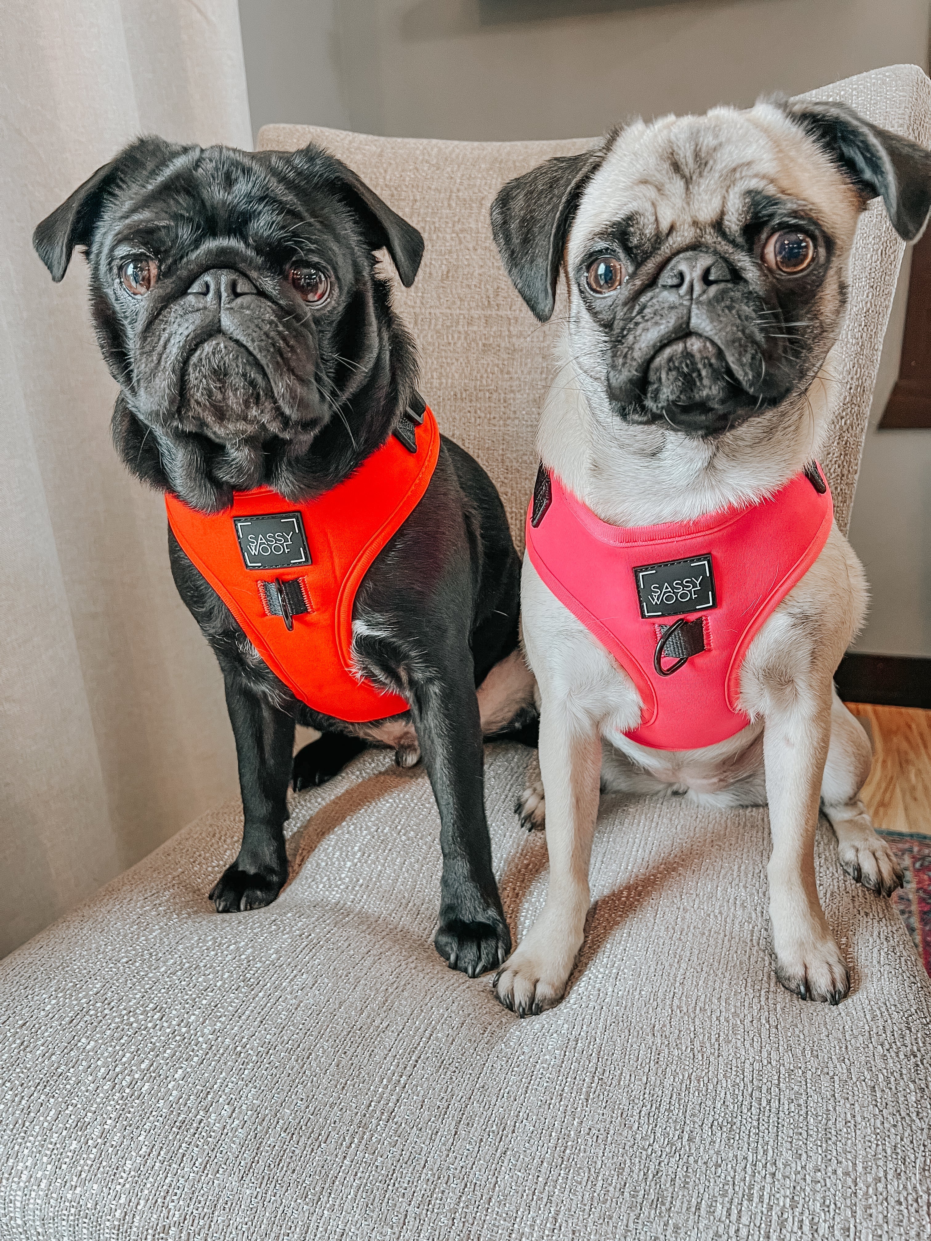 Dog Adjustable Harness - Neon Red