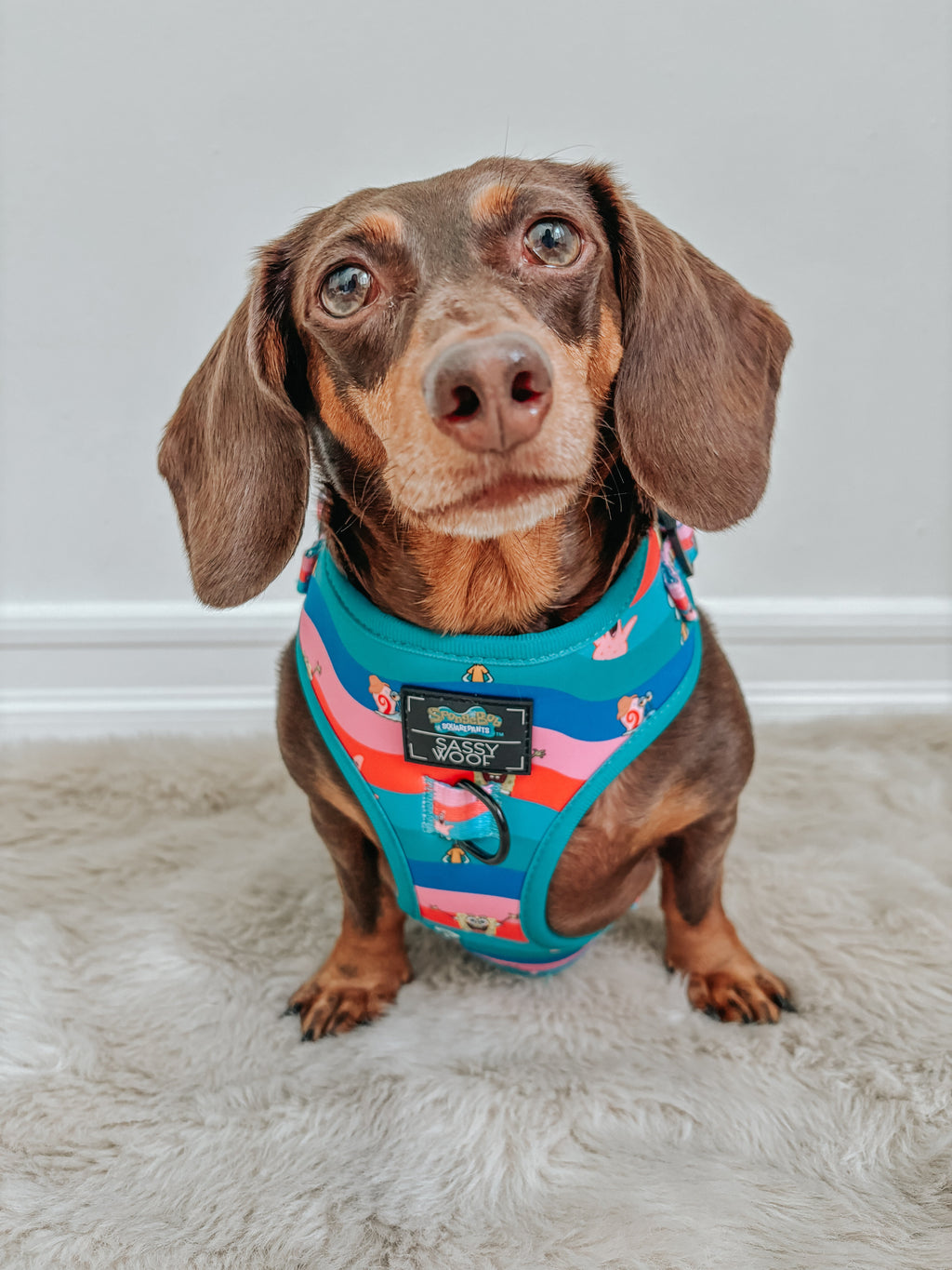 Dog Adjustable Harness - SpongeBob SquarePants™ and Friends