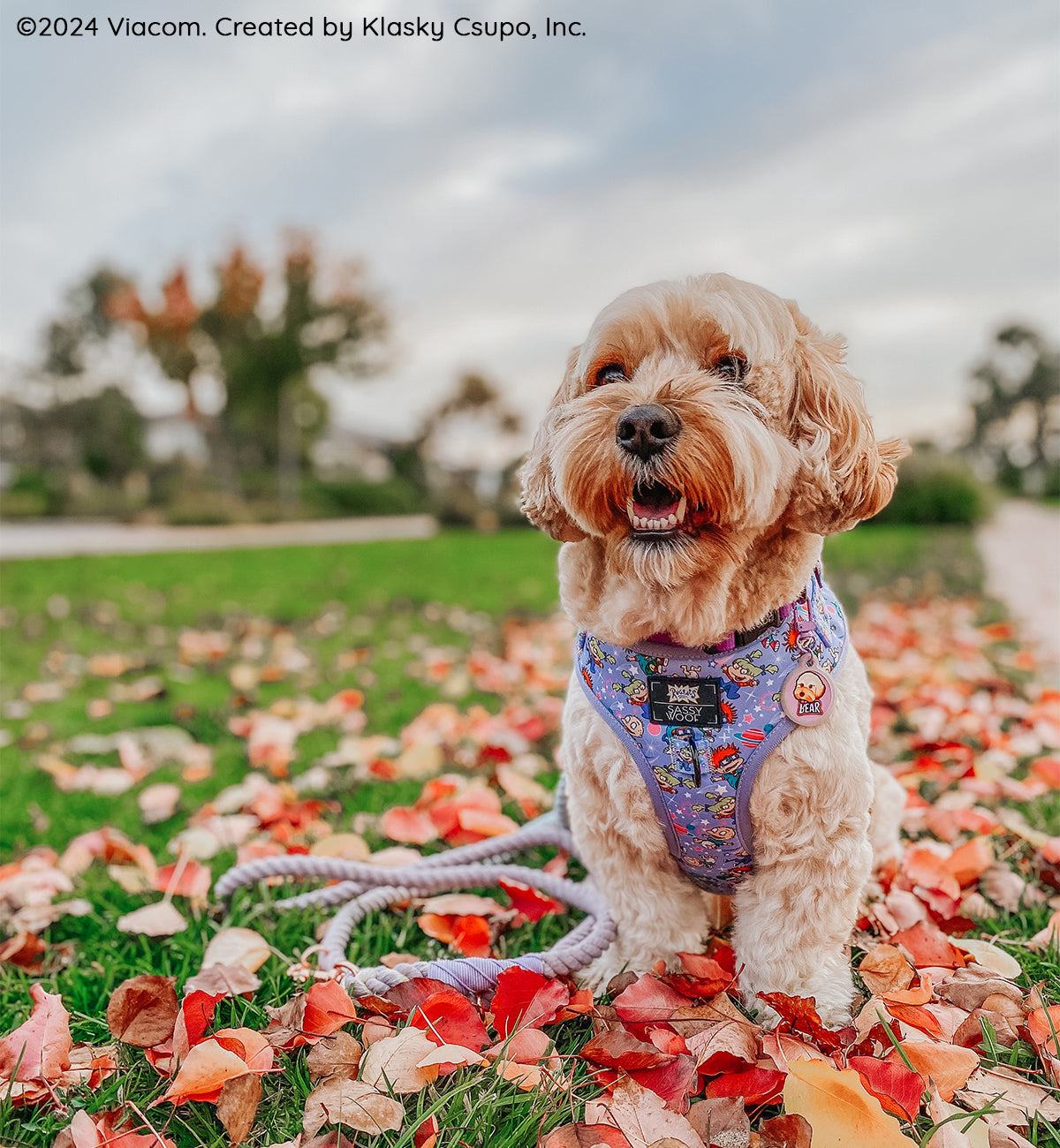 Dog Adjustable Harness - Nickelodeon Rugrats™