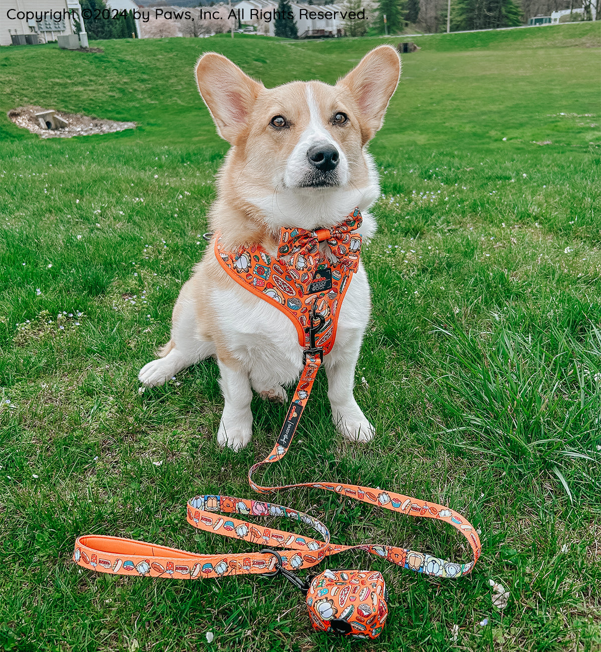 Dog Leash - Garfield™