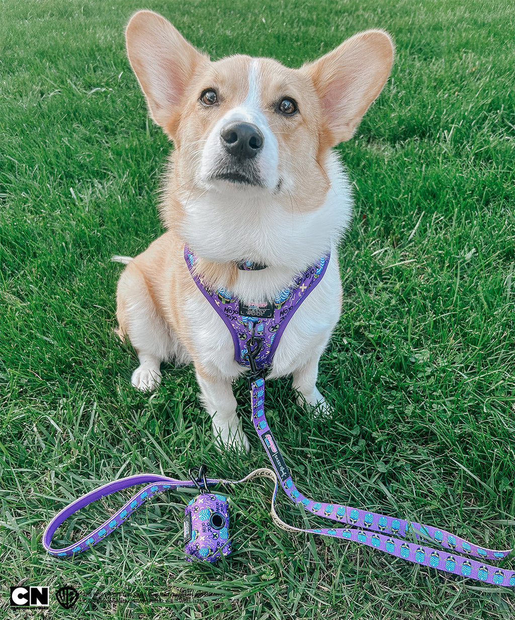 Dog Adjustable Harness - Mojo Jojo™