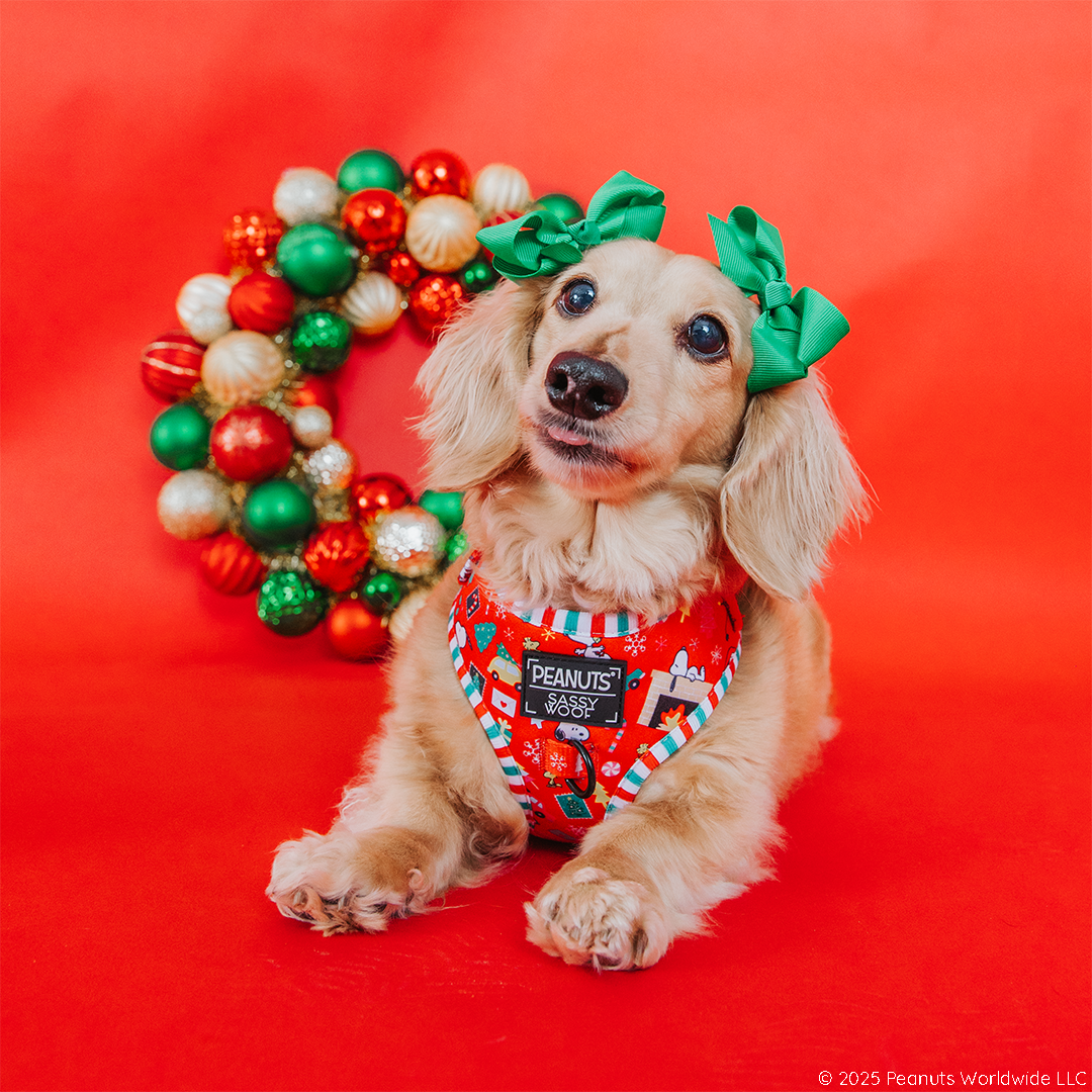 Dog Adjustable Harness - Peanuts™ Beagle Bells