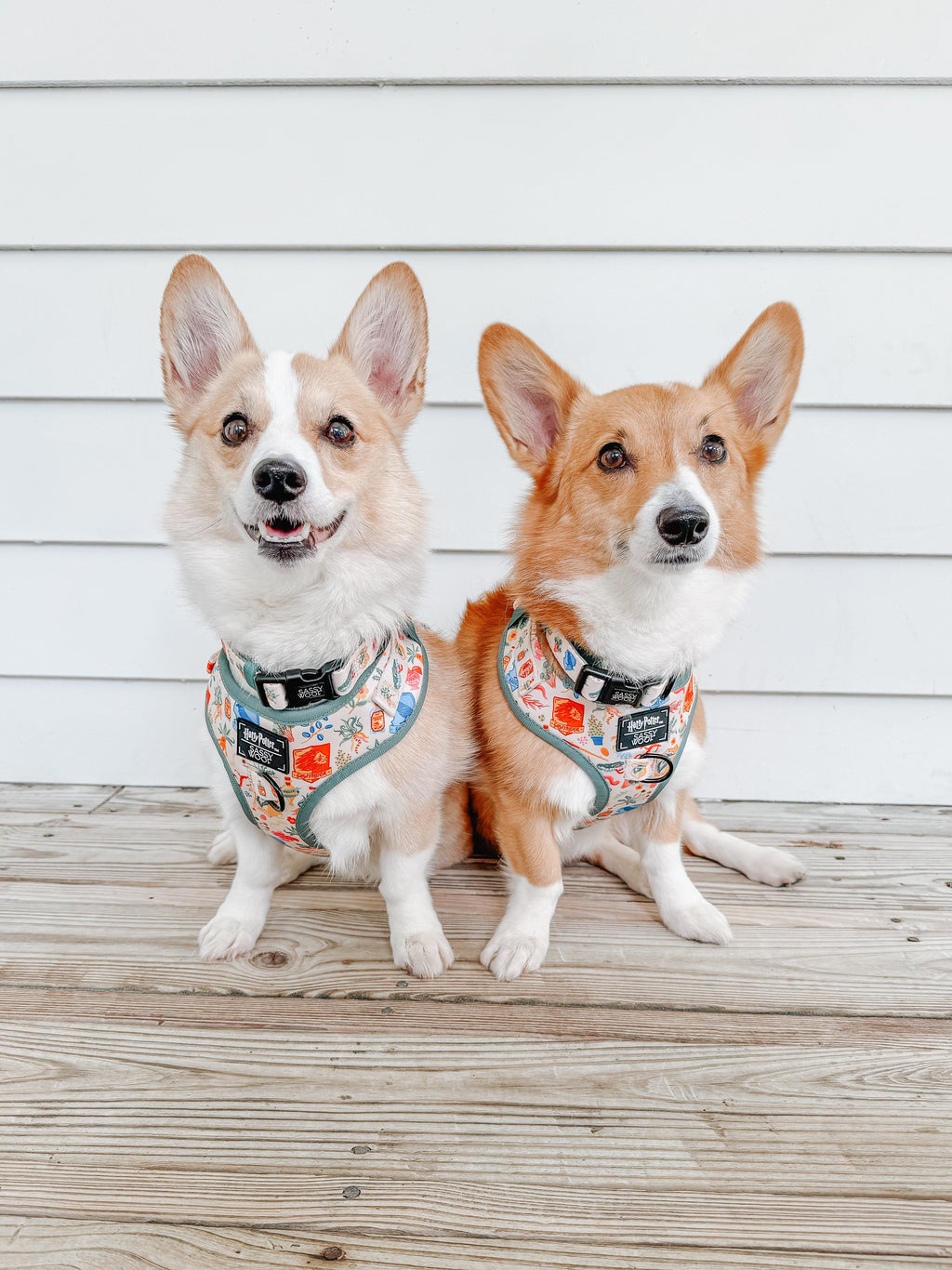 Dog Adjustable Harness - Harry Potter™ Herbology