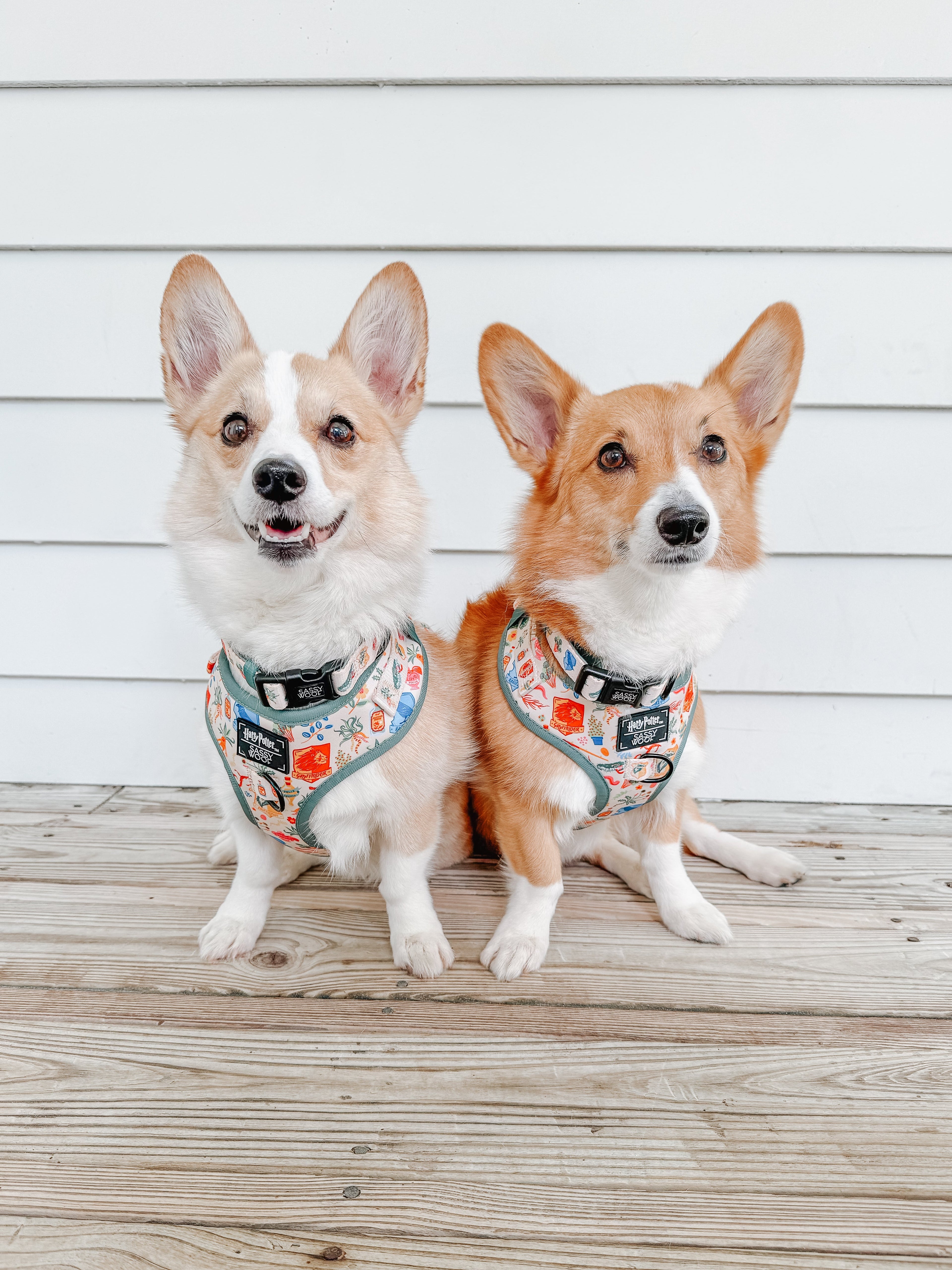 Dog Adjustable Harness - Harry Potter™ Herbology