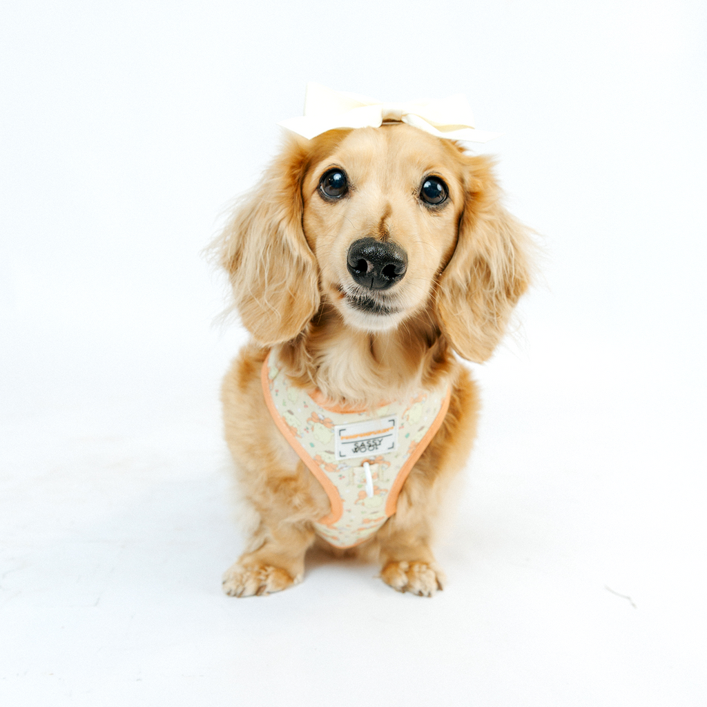 Dog Adjustable Harness - Pompompurin™