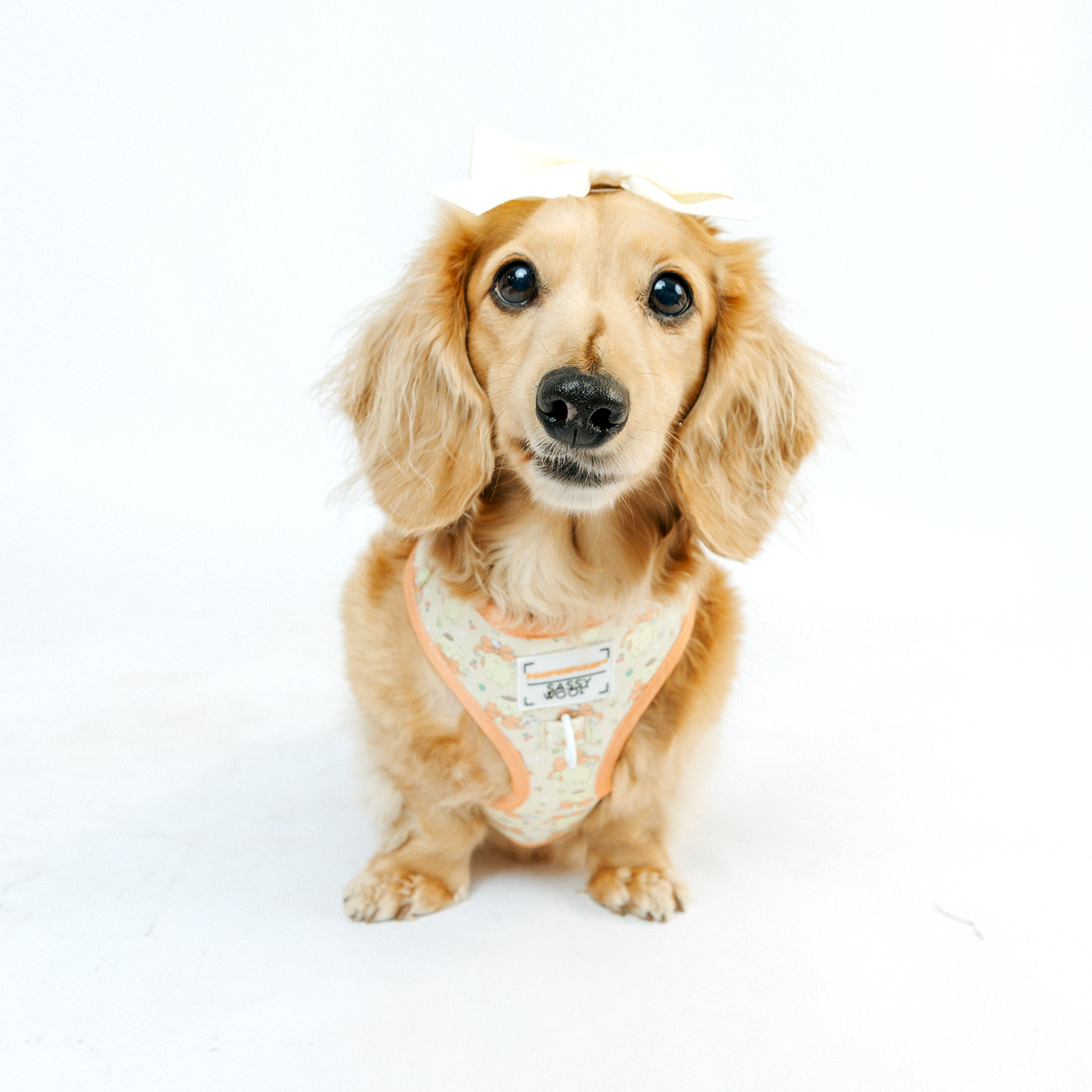 Dog Adjustable Harness - Pompompurin™