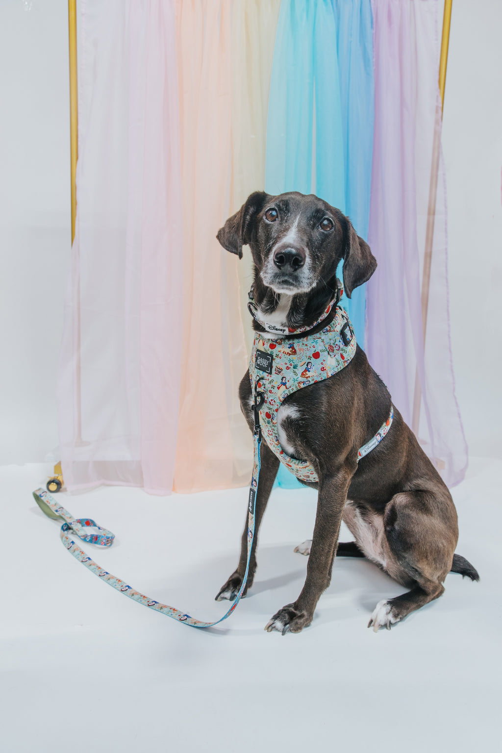 Dog Adjustable Harness - Disney's Snow White