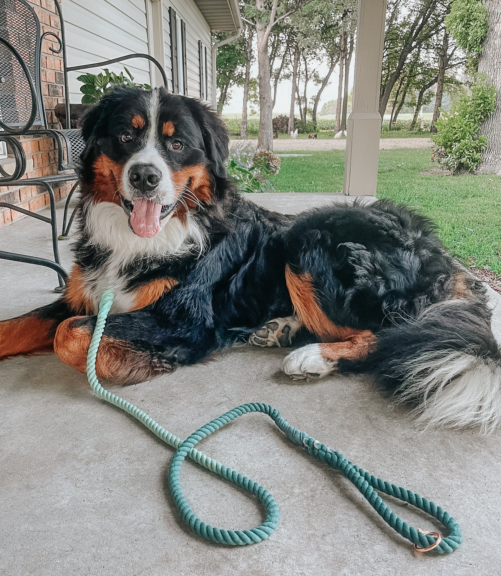 Dog Rope Leash - Hunter