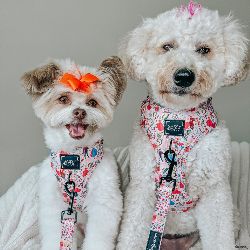 Dog Adjustable Harness - Disney's Aurora