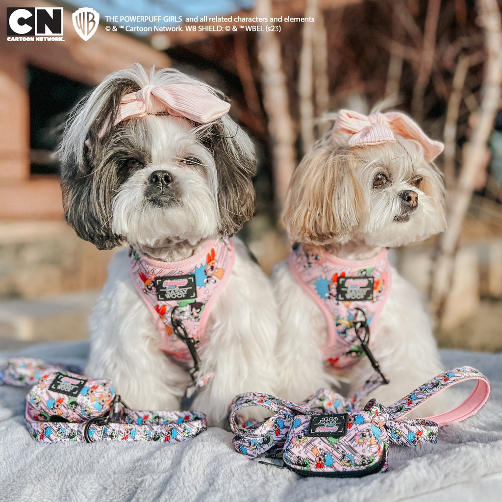 Dog Adjustable Harness - The Powerpuff Girls™ (Pink)