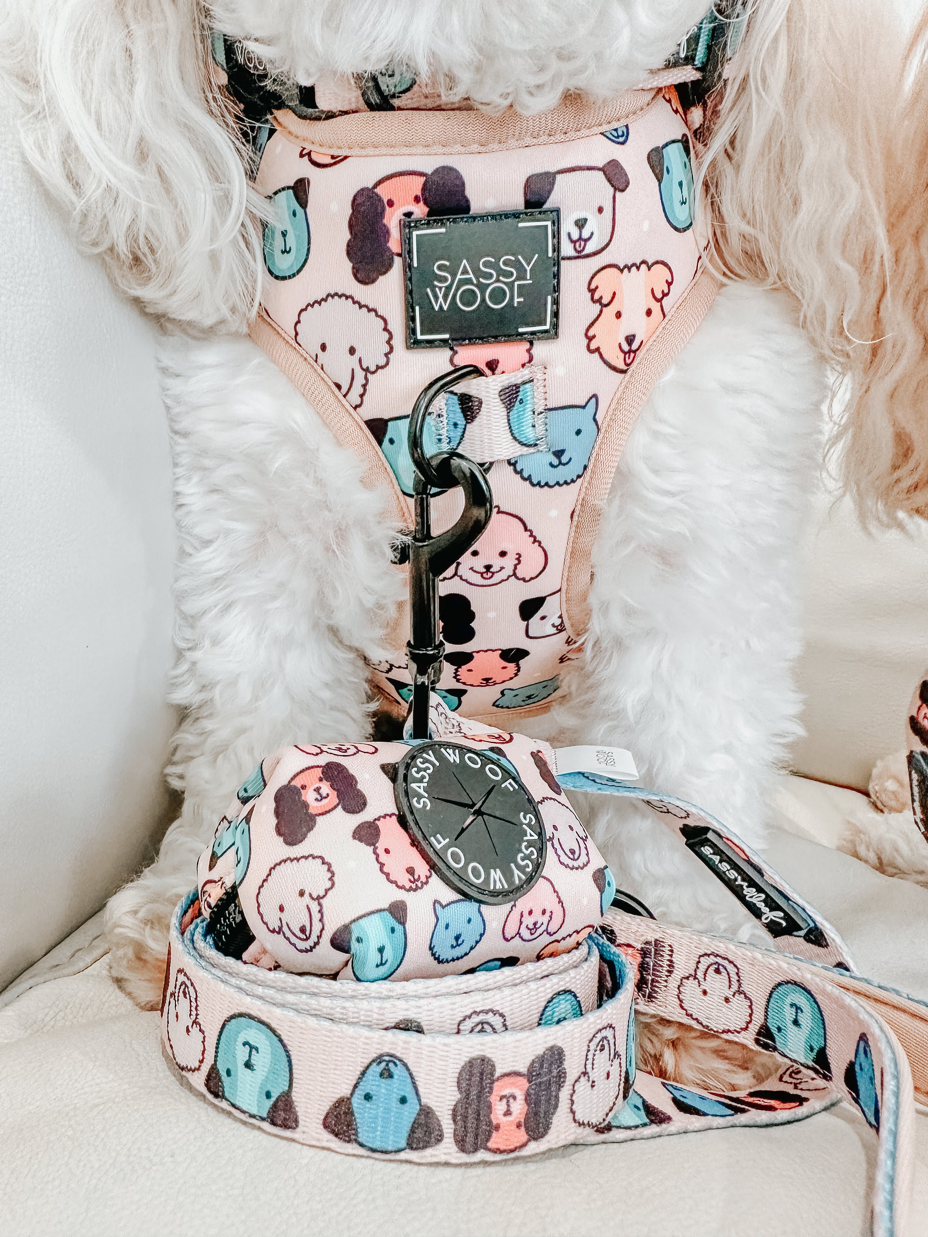 Dog Leash - Mixed With Love