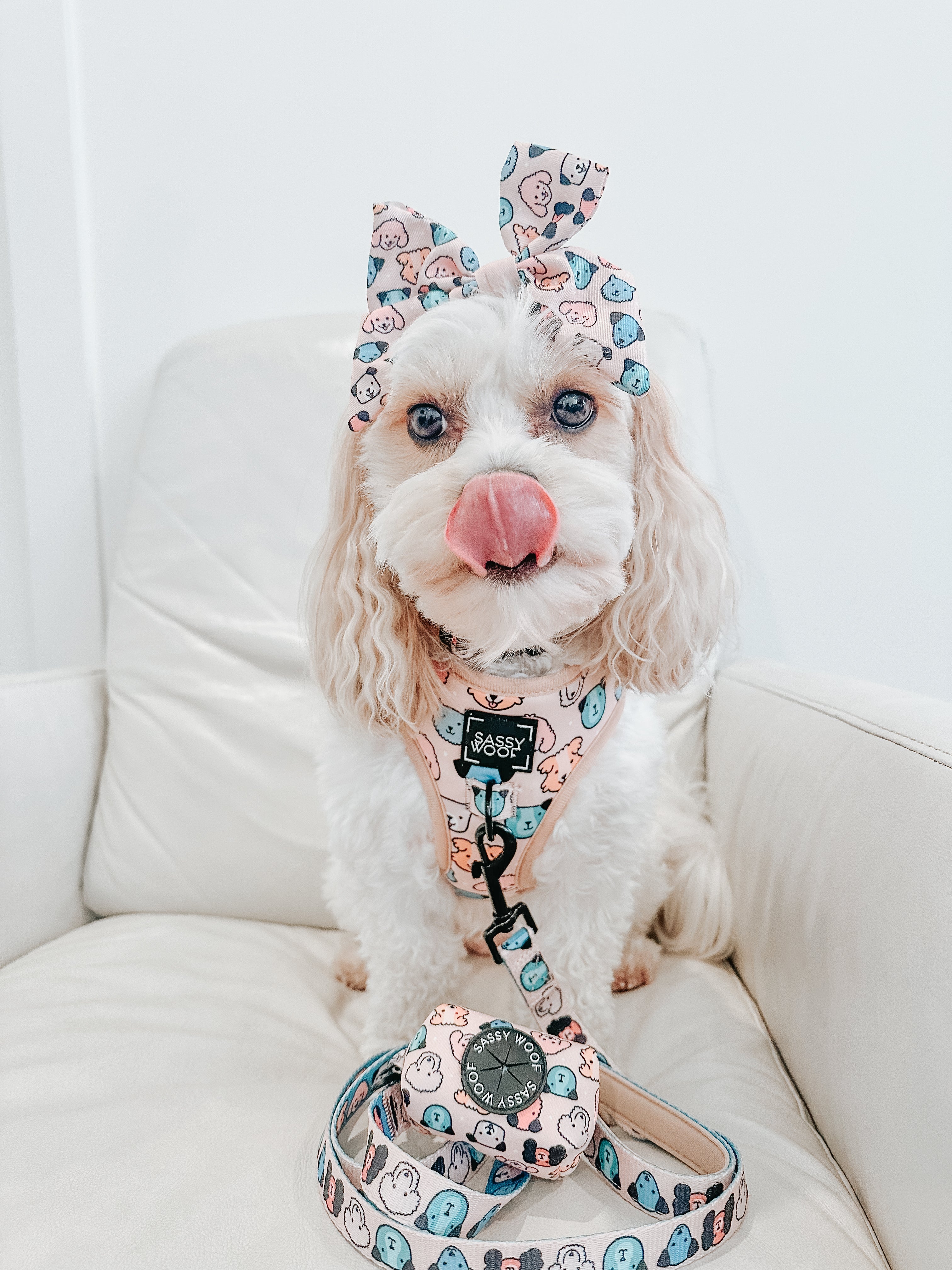 Dog Leash - Mixed With Love